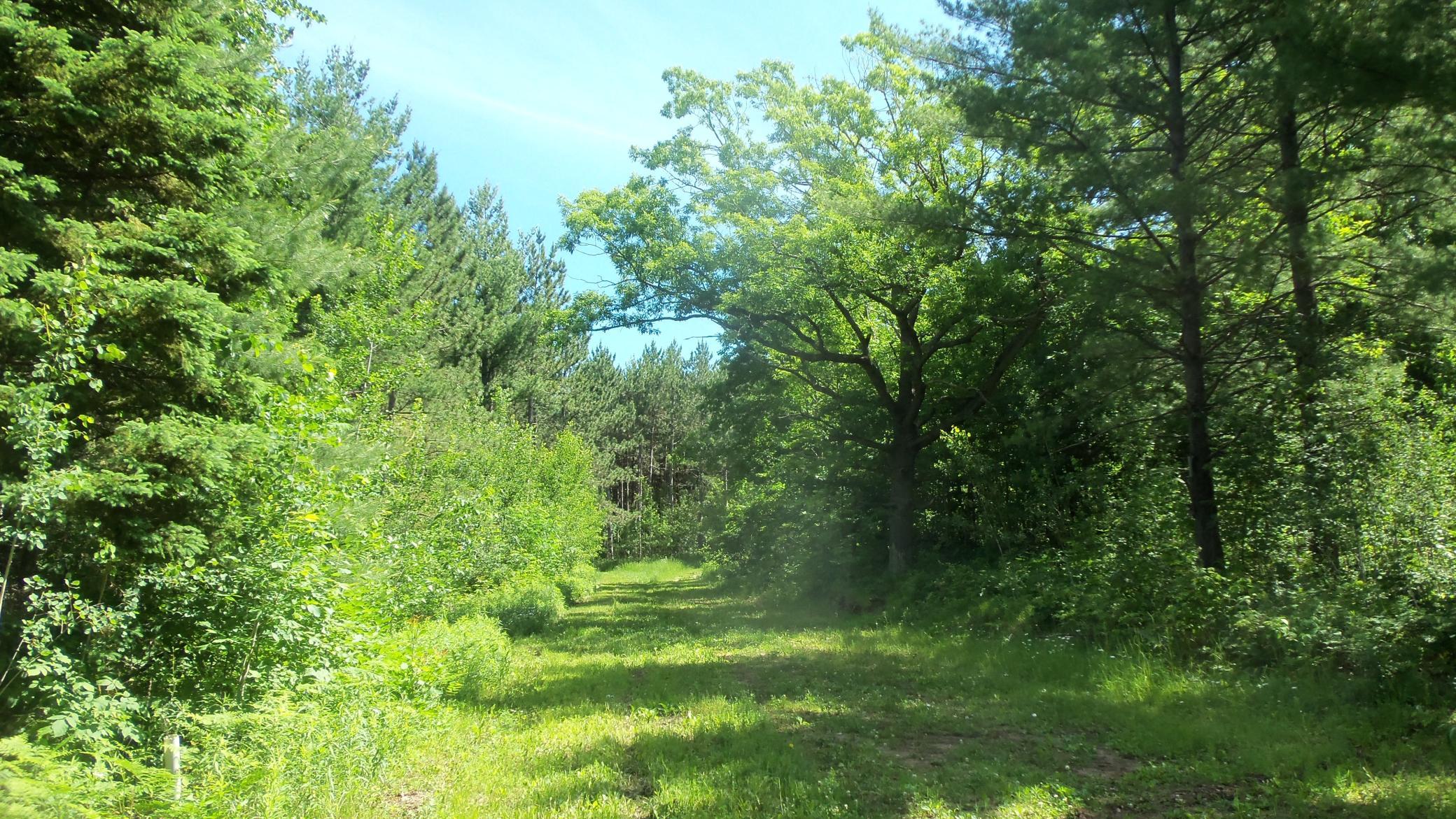 Xxx Bashaw Store Rd Property Photo 3