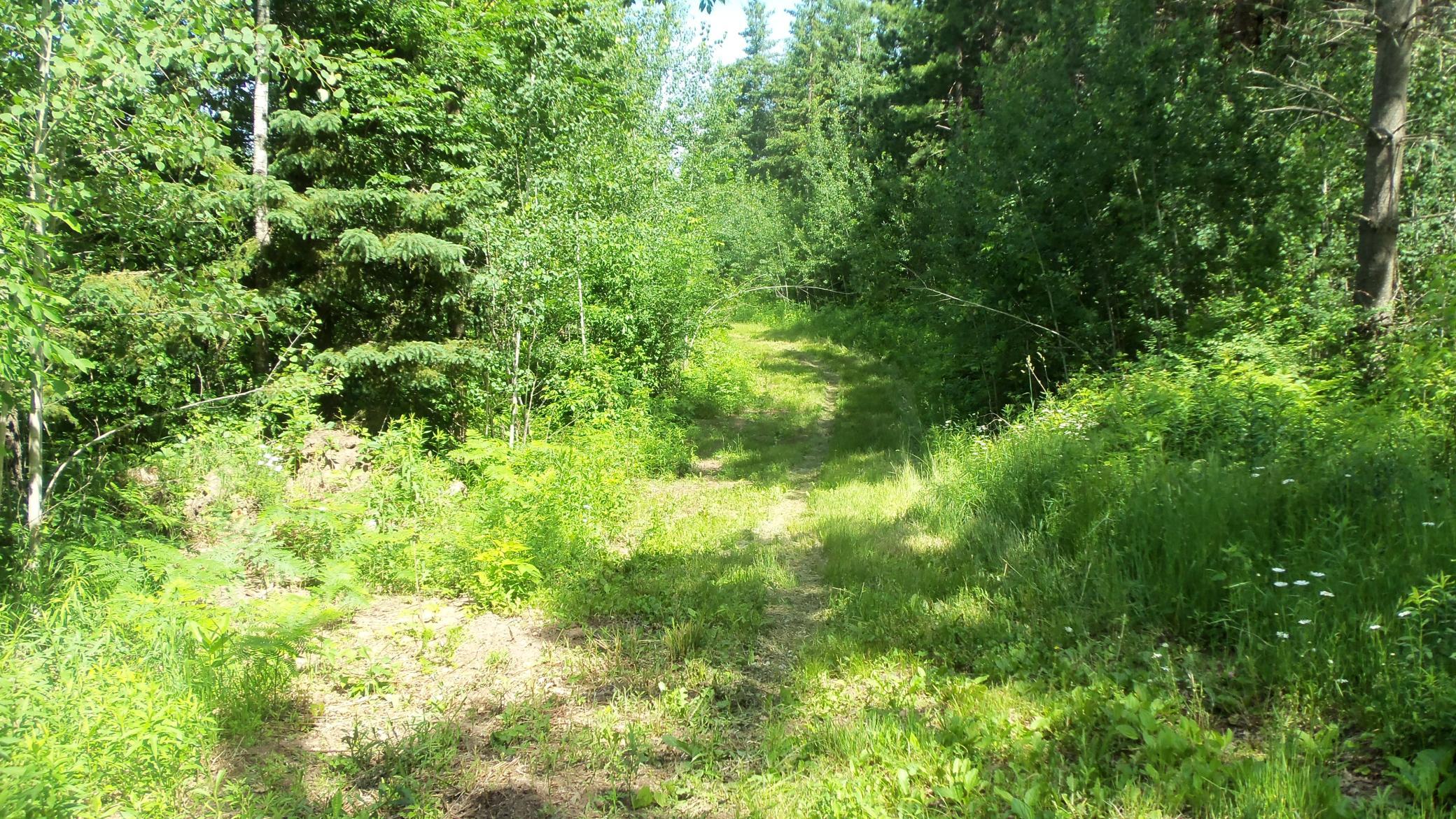 Xxx Bashaw Store Rd Property Photo 5