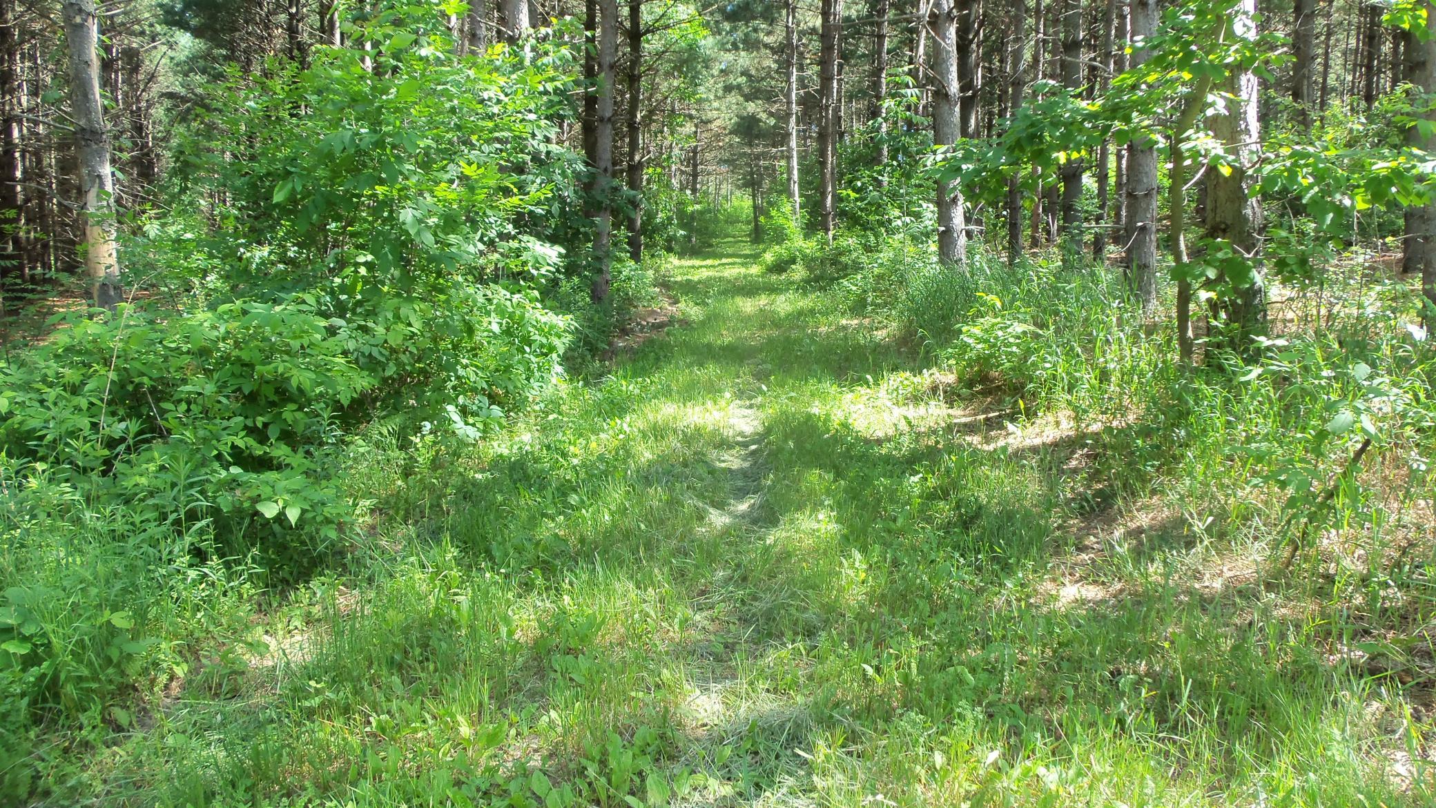 Xxx Bashaw Store Rd Property Photo 7