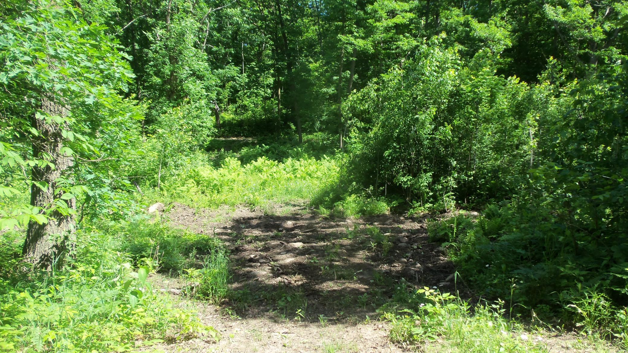 Xxx Bashaw Store Rd Property Photo 10