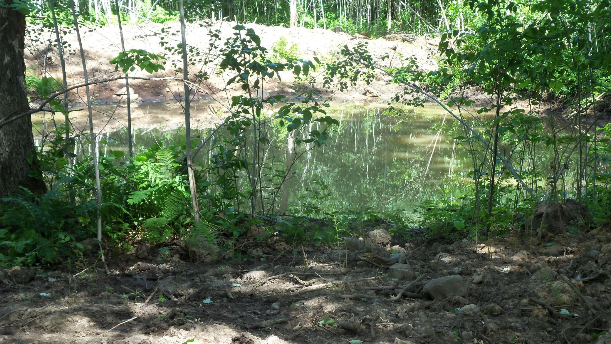 Xxx Bashaw Store Rd Property Photo 12
