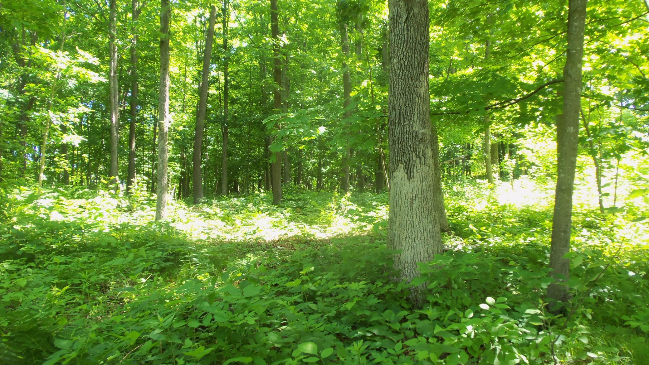 Xxx Bashaw Store Rd Property Photo 15