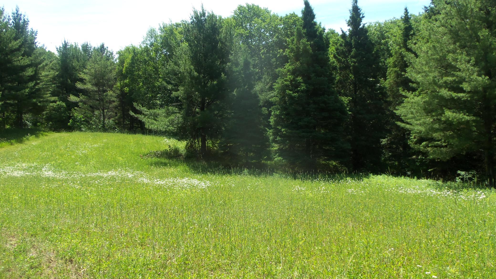 Xxx Bashaw Store Rd Property Photo 23