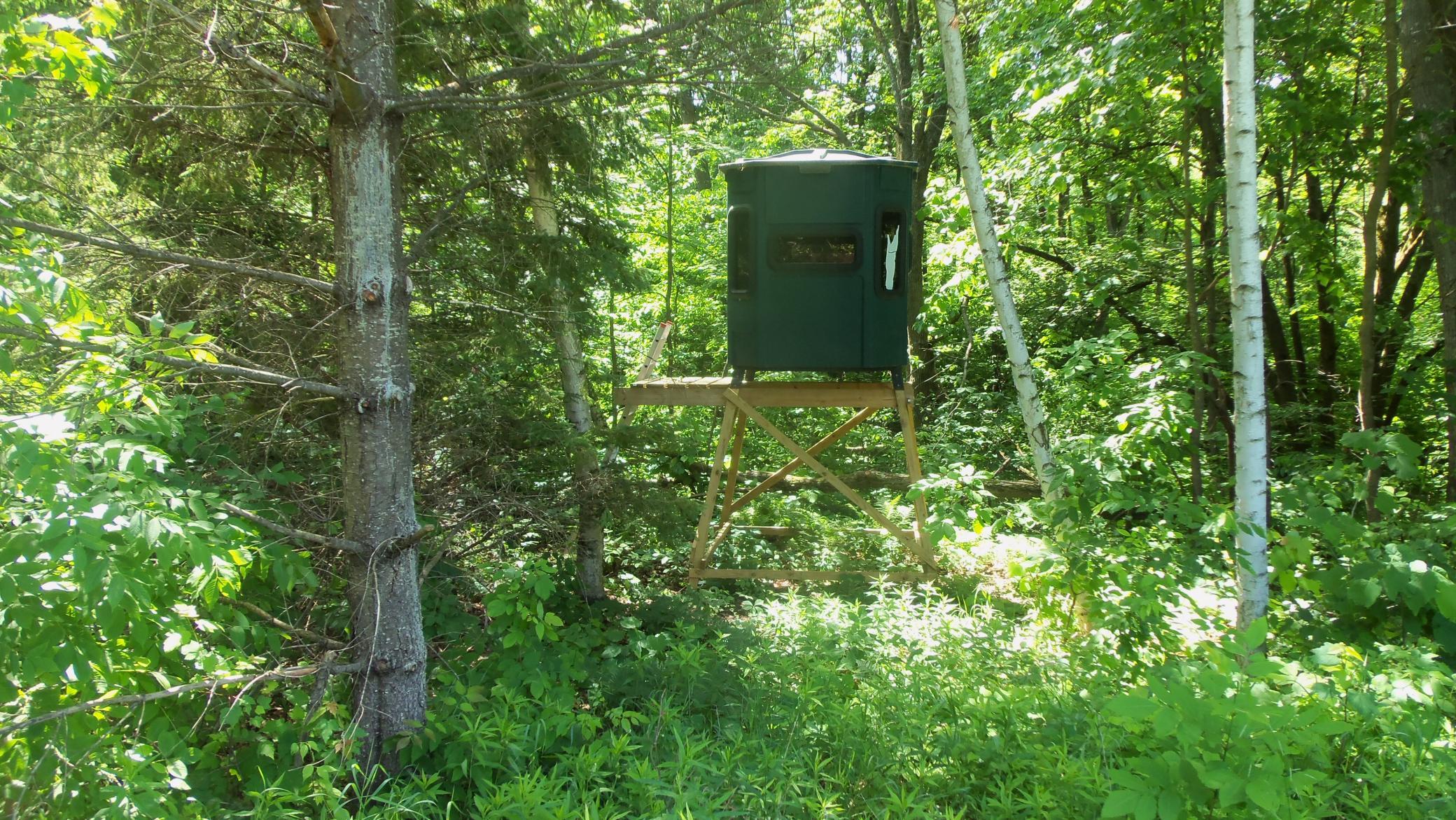 Xxx Bashaw Store Rd Property Photo 24