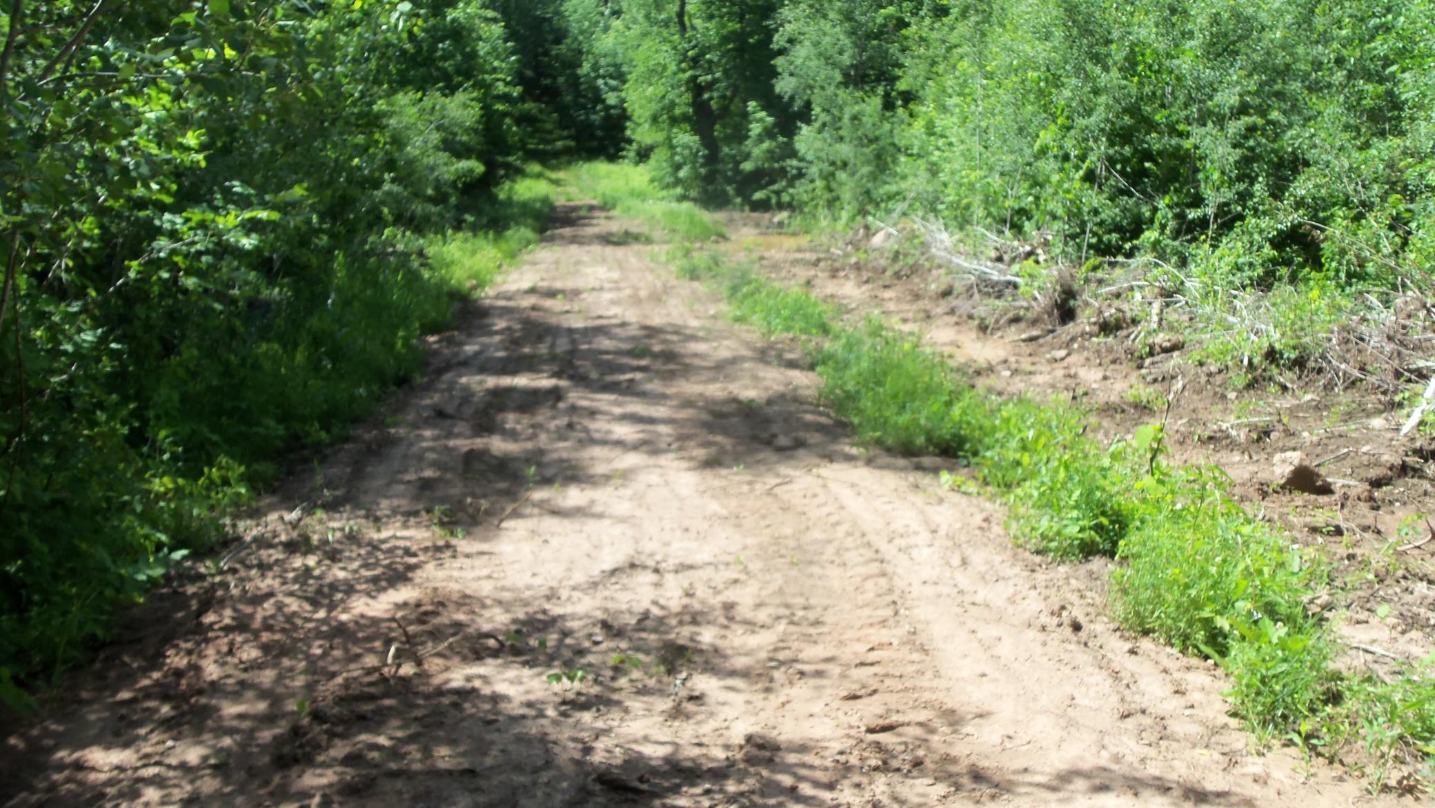 Xxx Bashaw Store Rd Property Photo 29