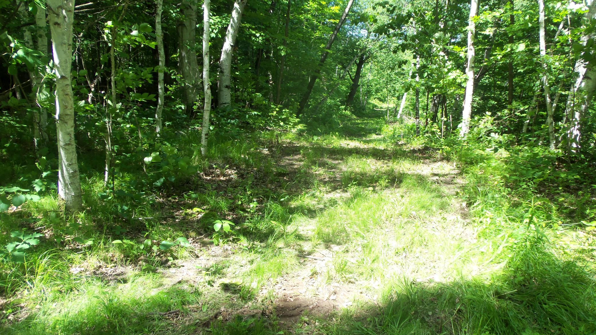 Xxx Bashaw Store Rd Property Photo 31