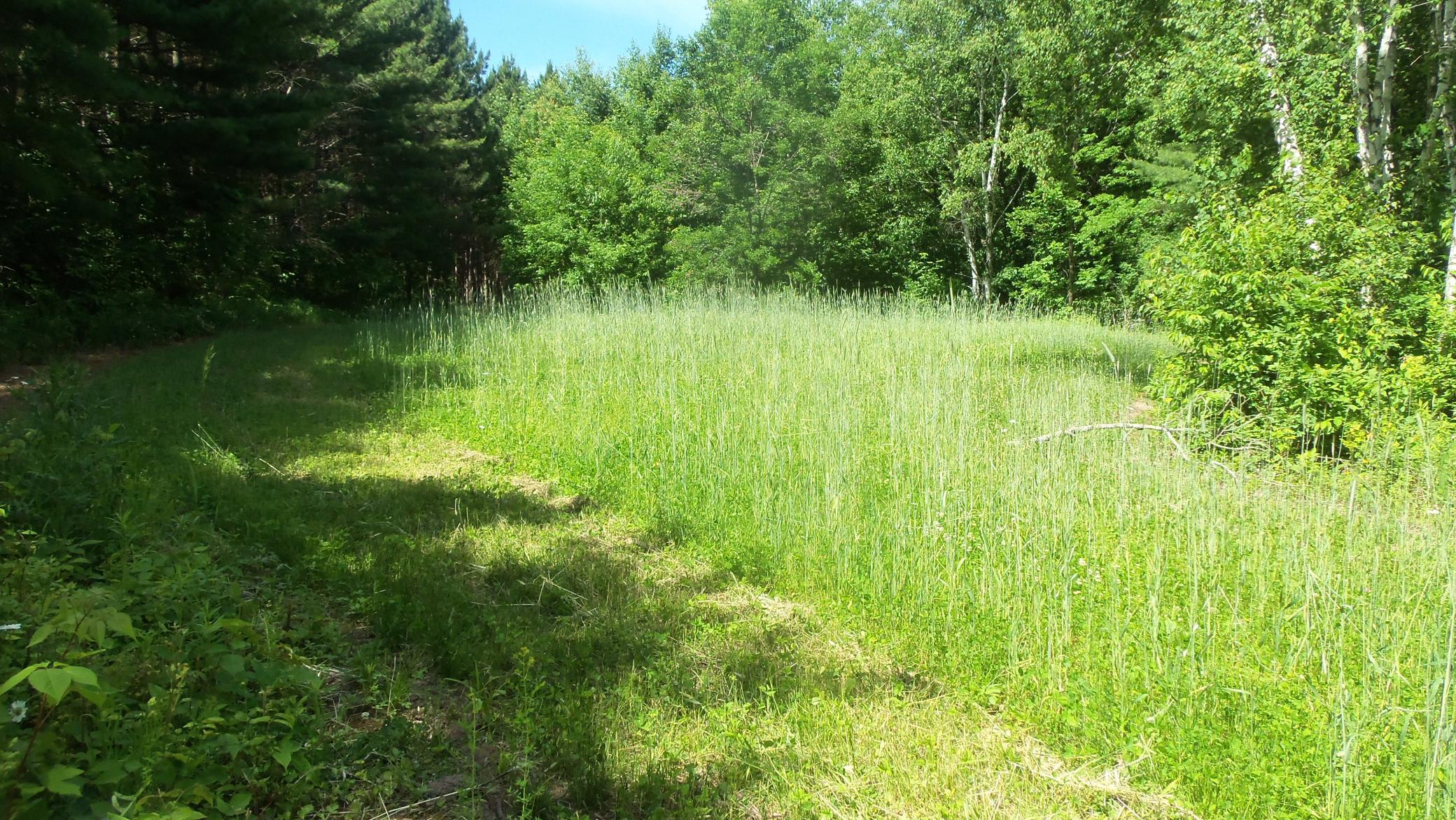 Xxx Bashaw Store Rd Property Photo 34