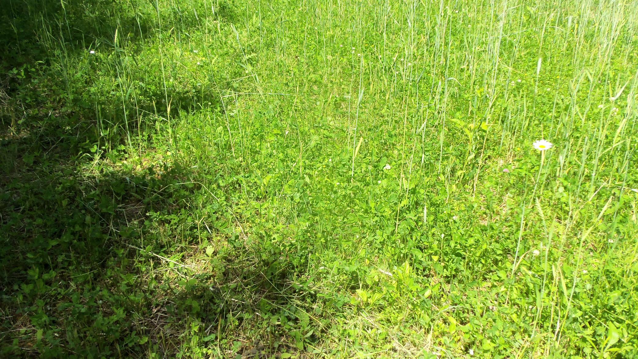 Xxx Bashaw Store Rd Property Photo 35