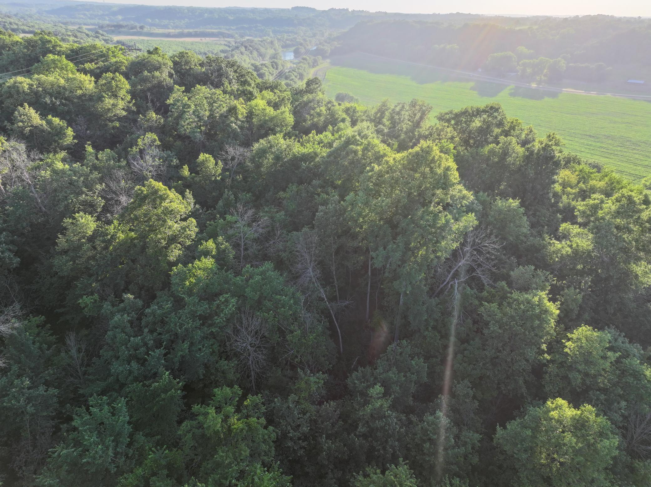 Tbd Sunset Trail Property Photo 9