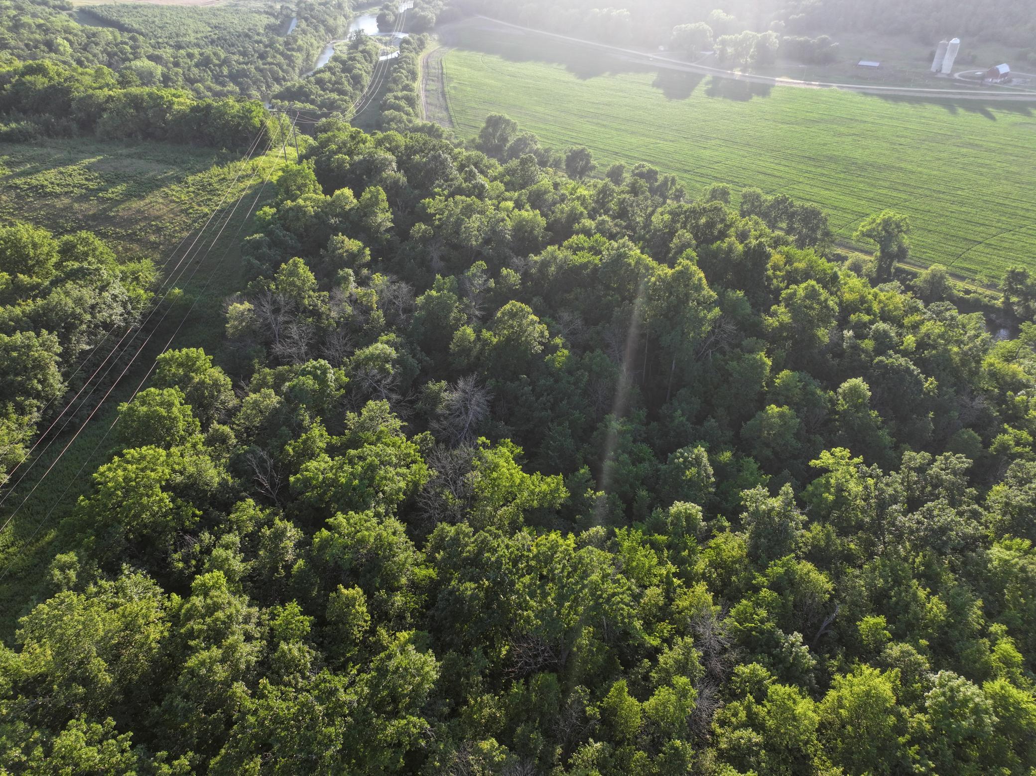 Tbd Sunset Trail Property Photo 11