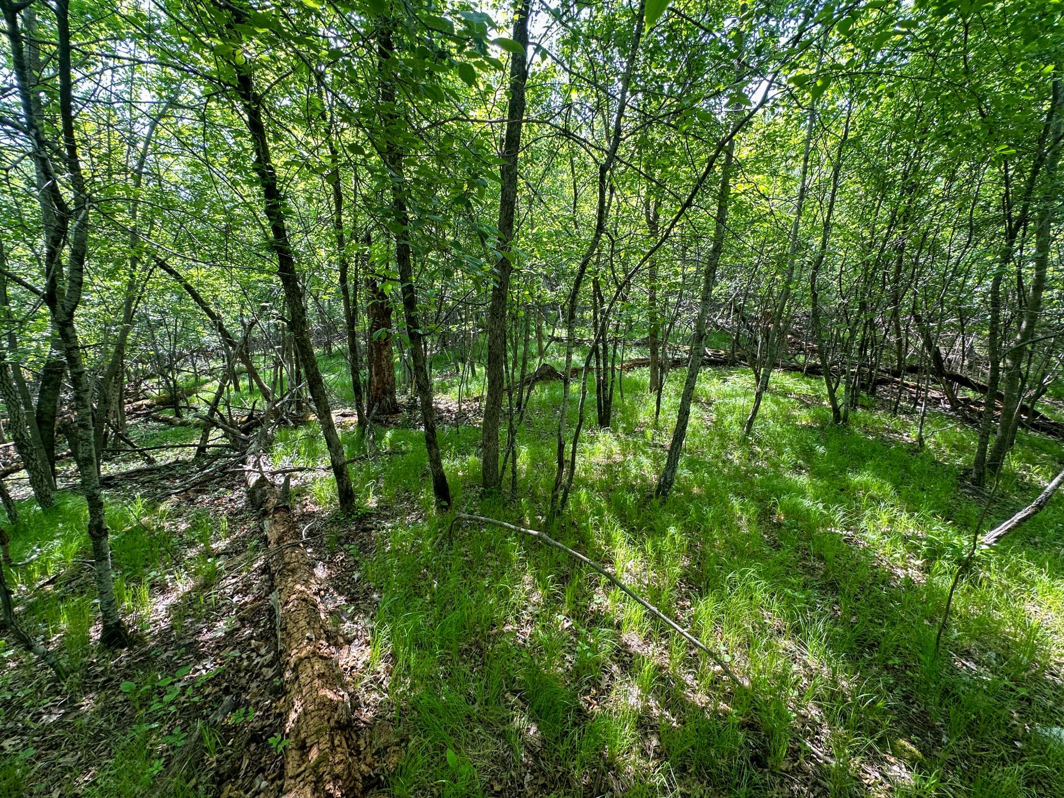 Tbd Sunset Trail Property Photo 13