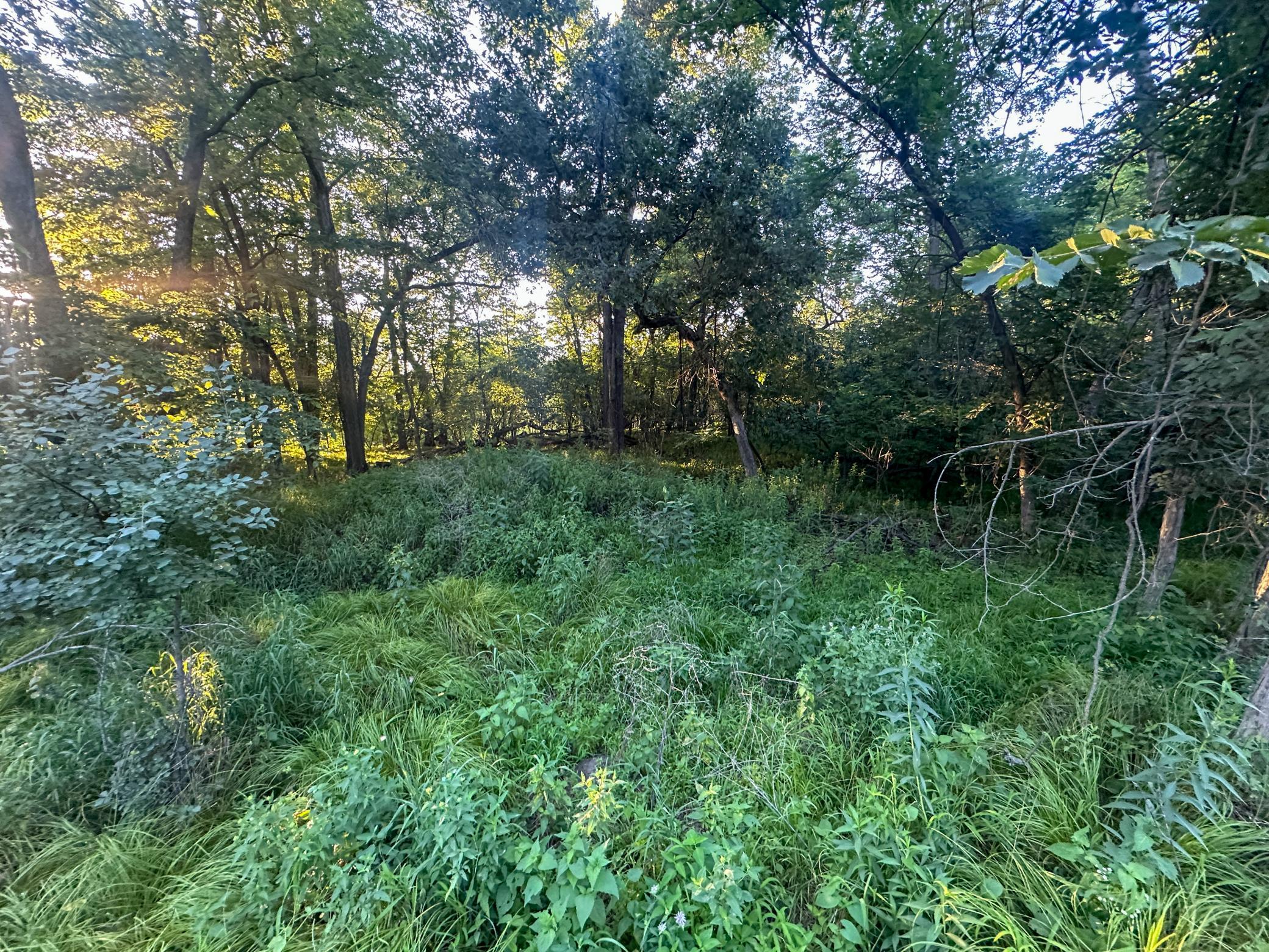 Tbd Sunset Trail Property Photo 14