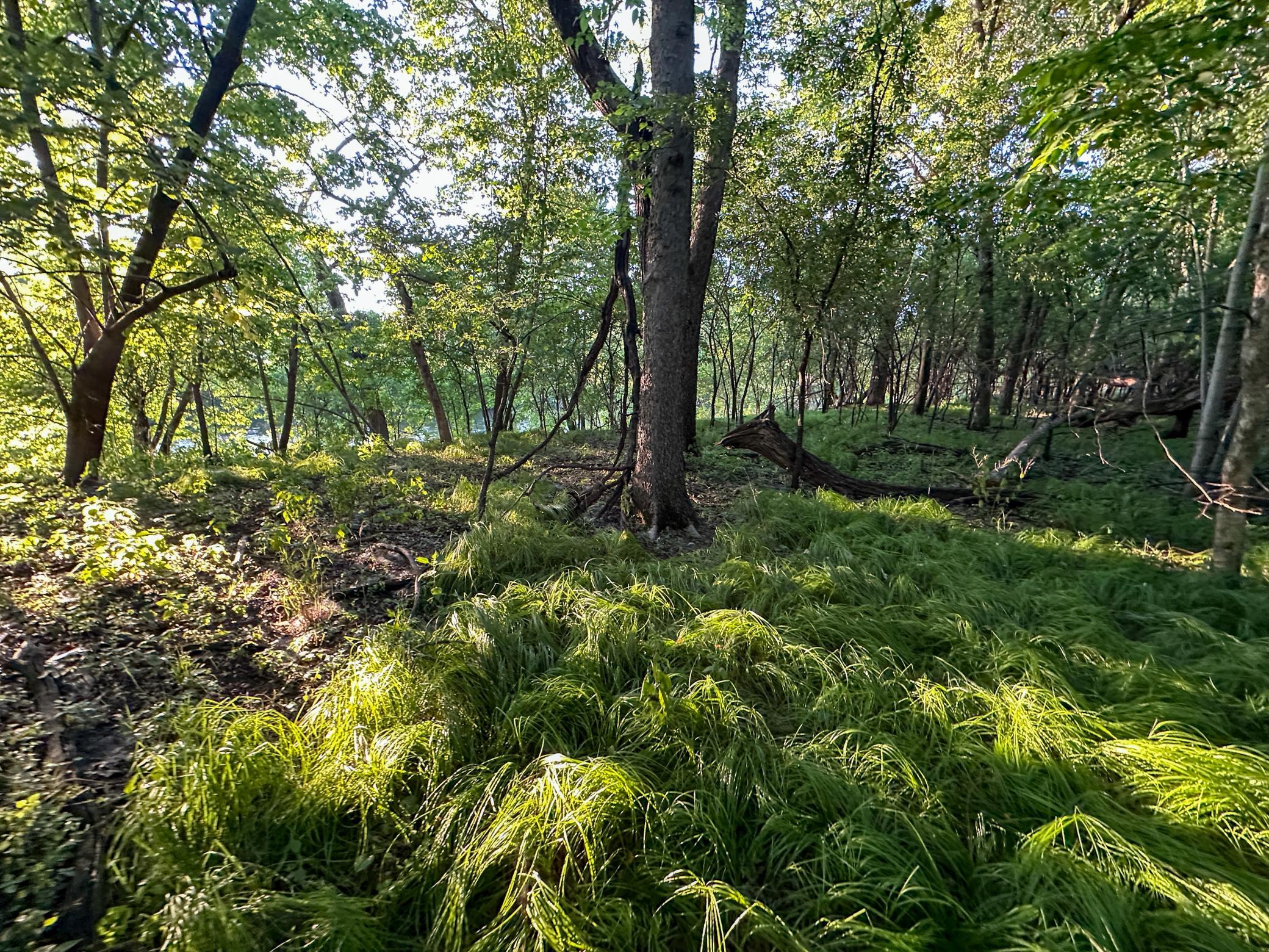 Tbd Sunset Trail Property Photo 15