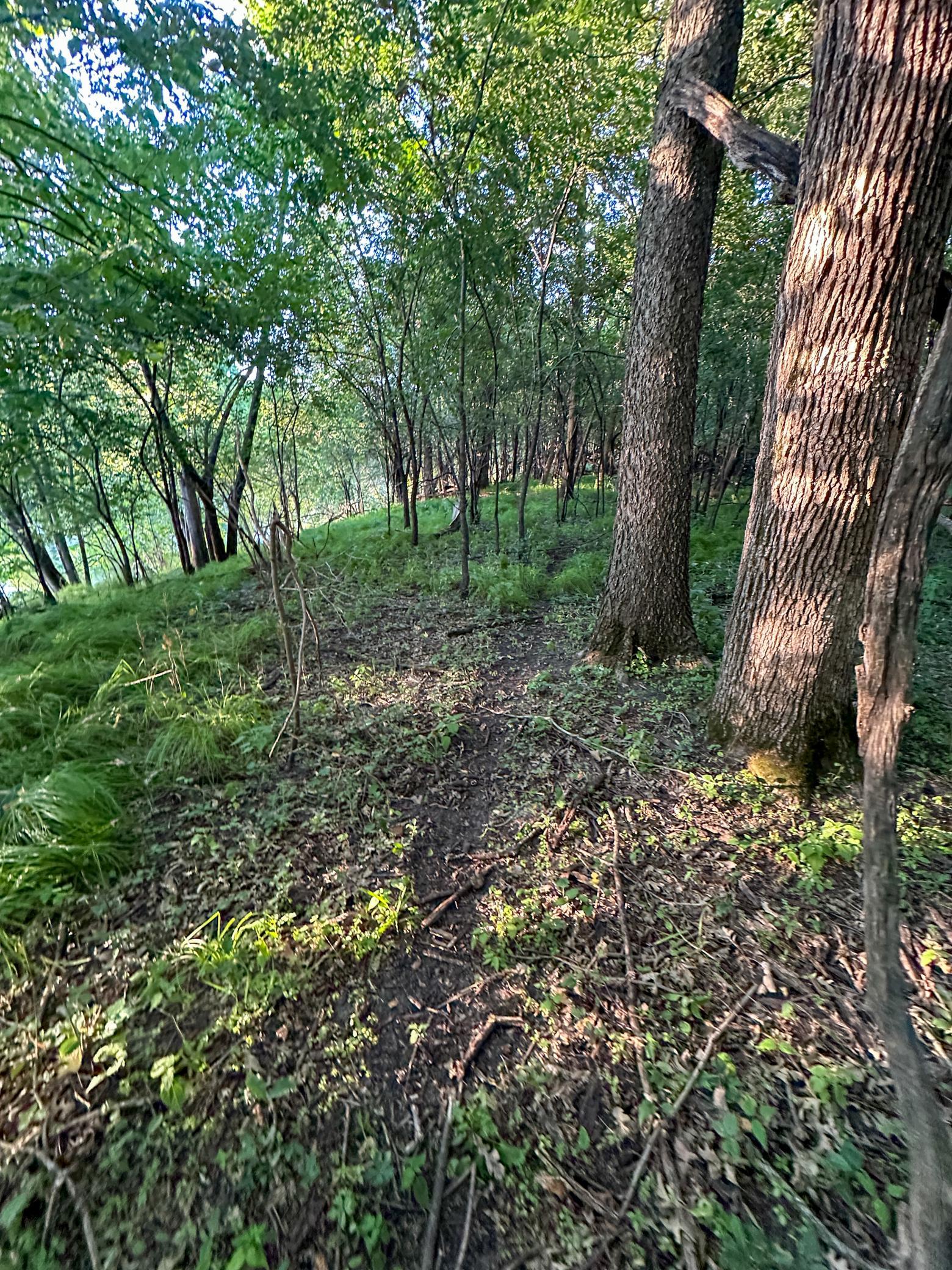 Tbd Sunset Trail Property Photo 16