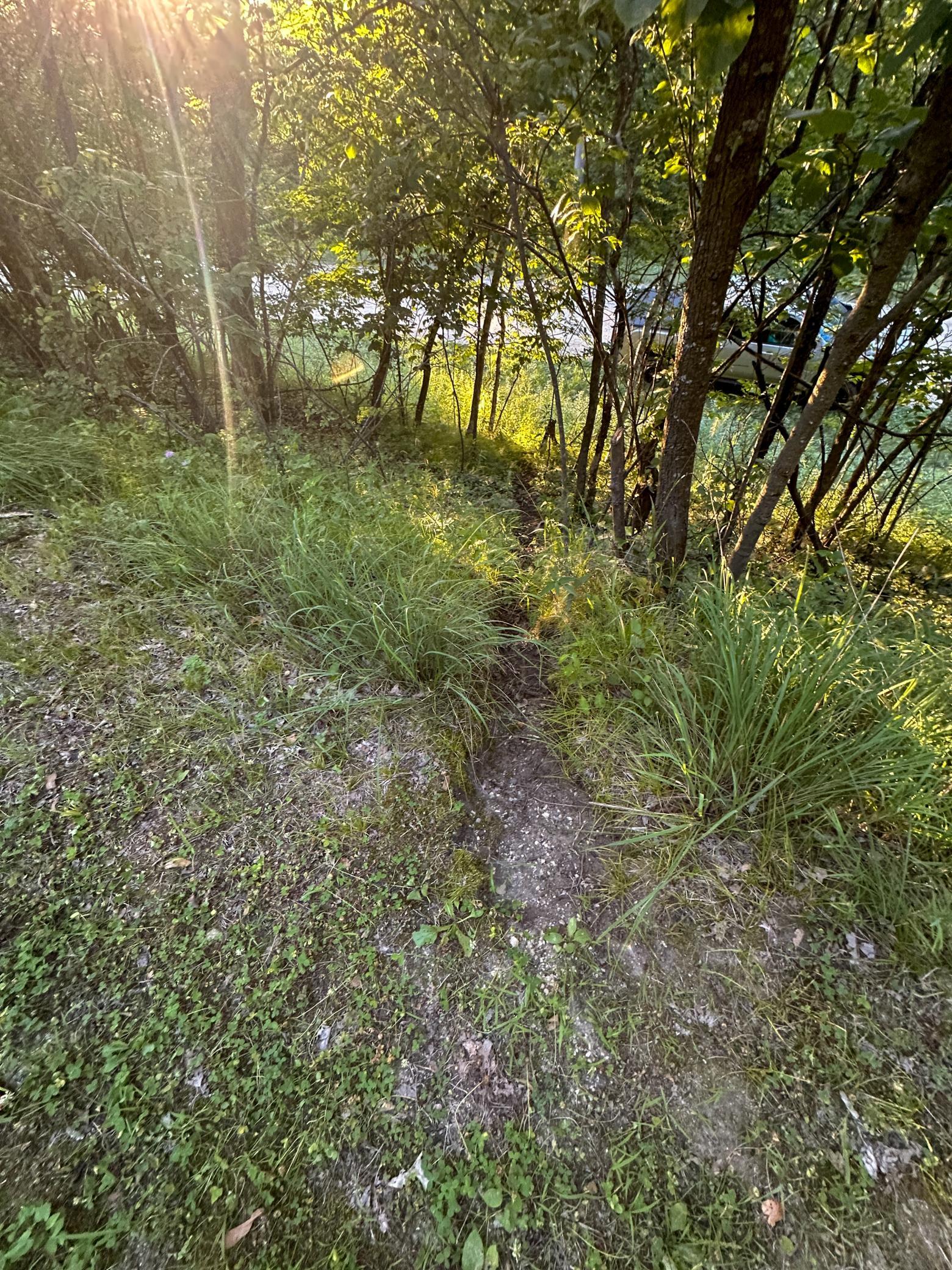 Tbd Sunset Trail Property Photo 19