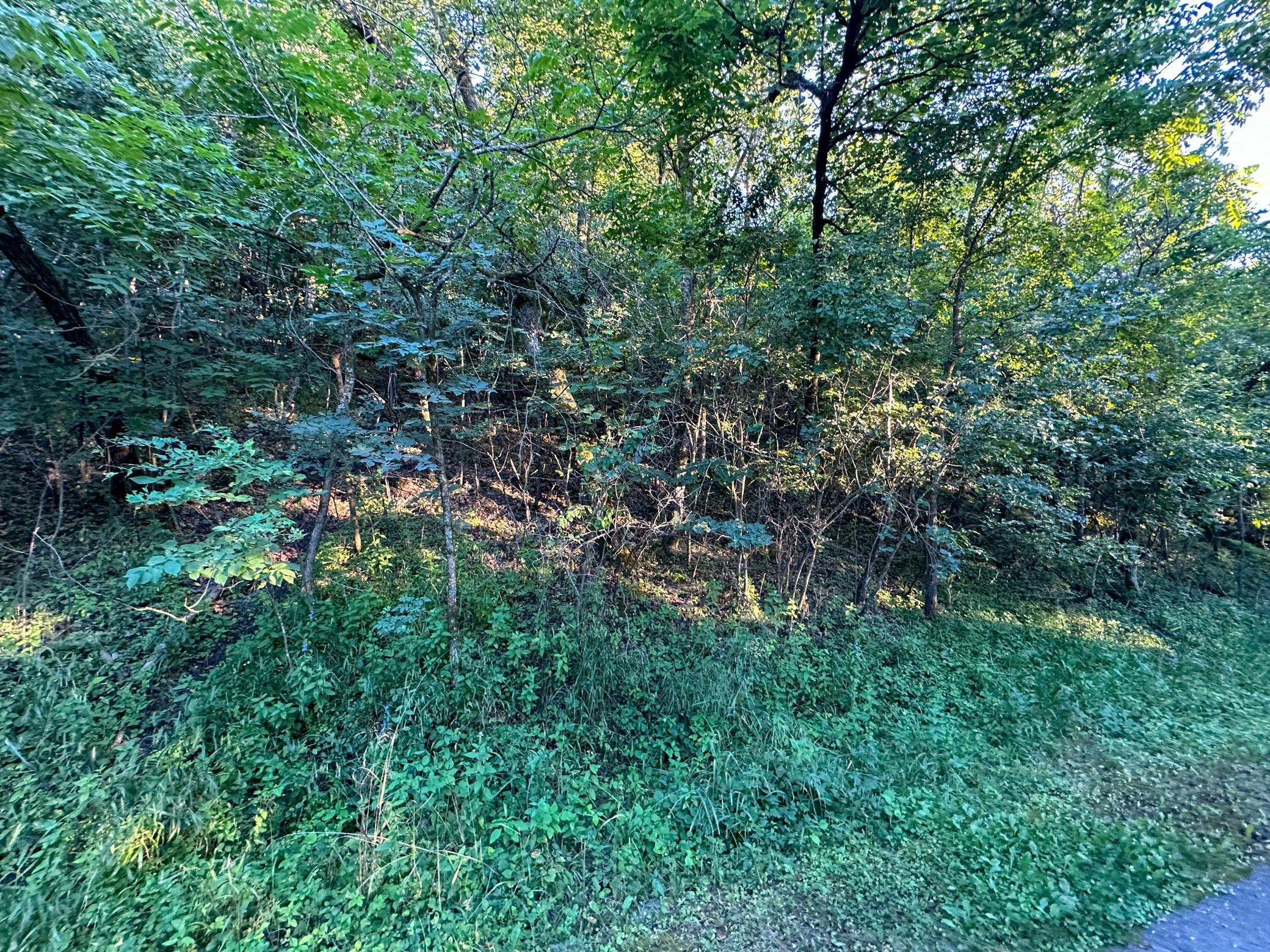 Tbd Sunset Trail Property Photo 21