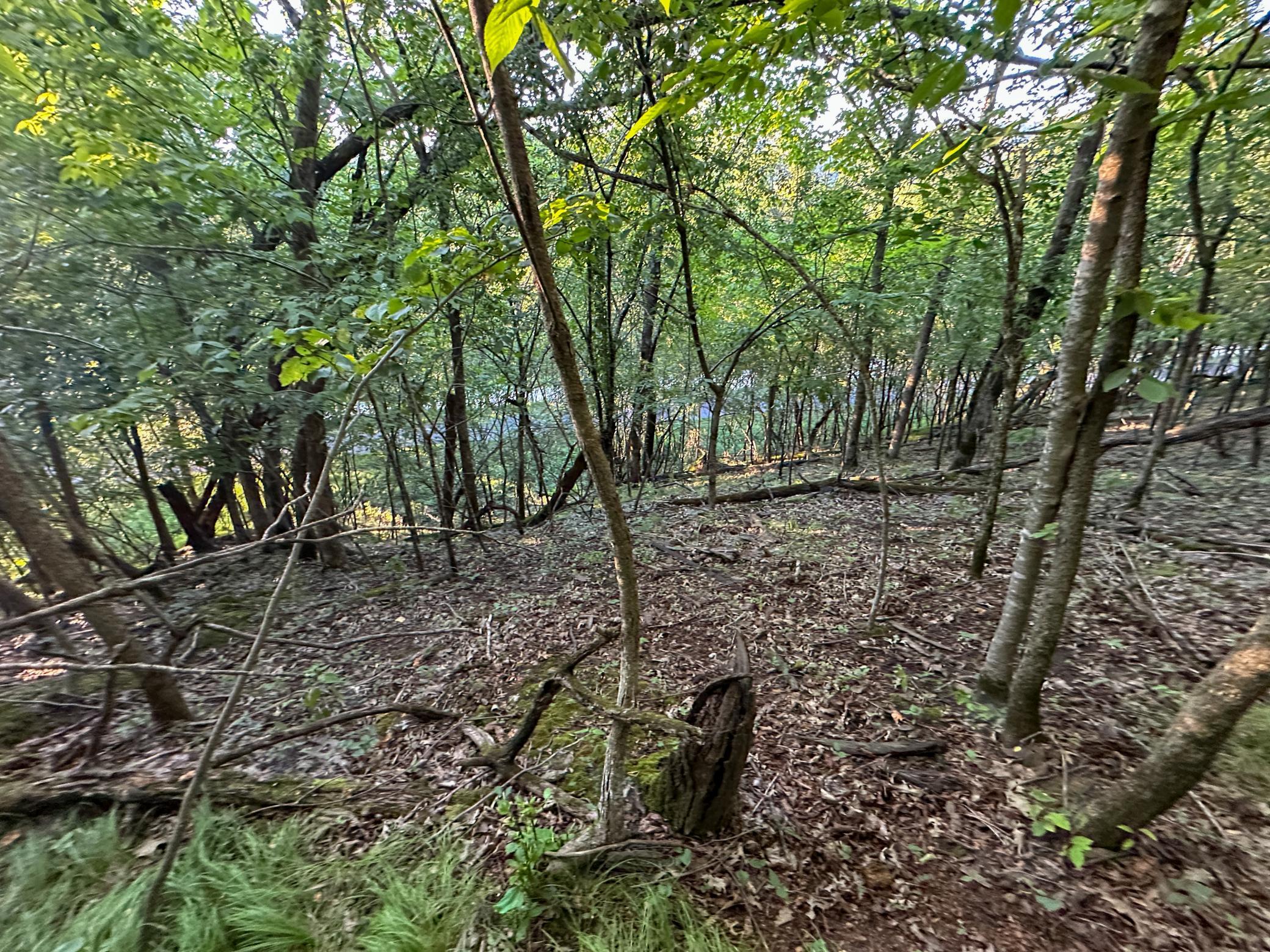 Tbd Sunset Trail Property Photo 22