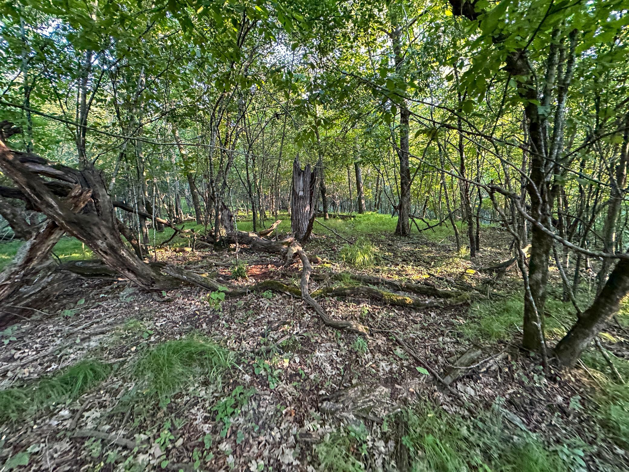 Tbd Sunset Trail Property Photo 23