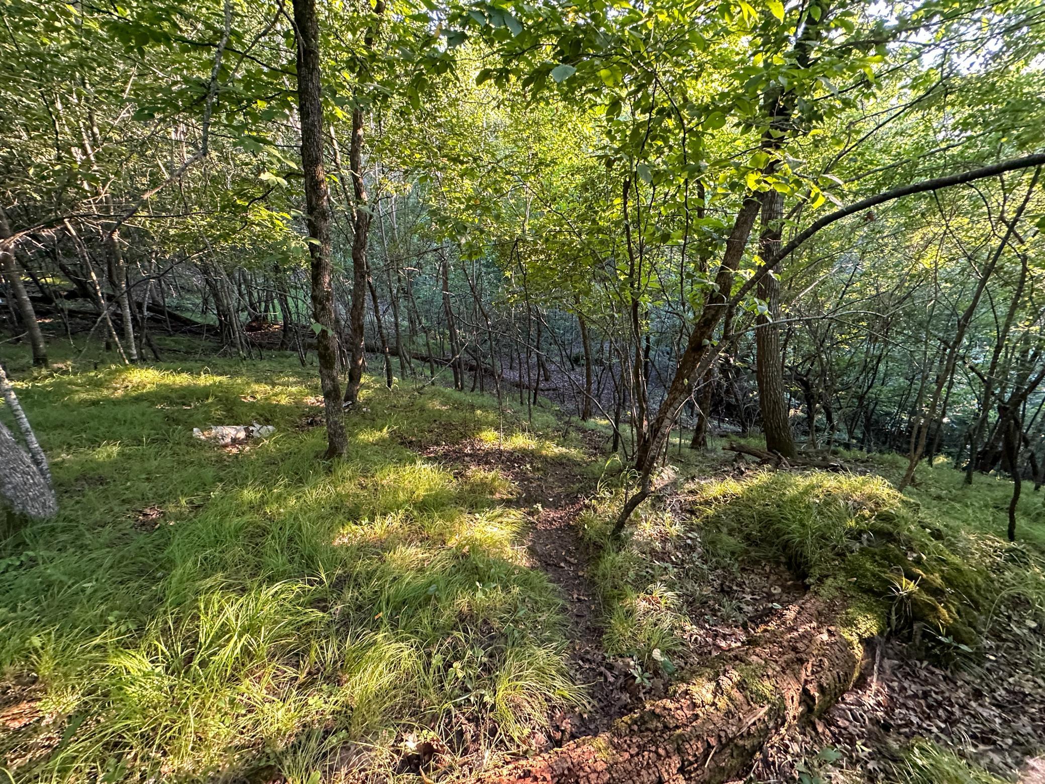 Tbd Sunset Trail Property Photo 24