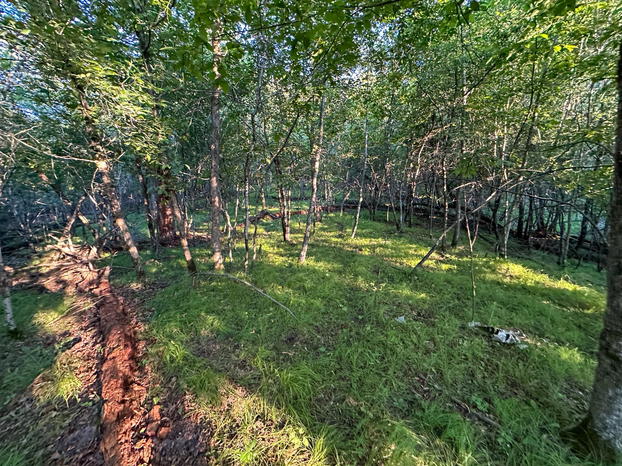 Tbd Sunset Trail Property Photo 25