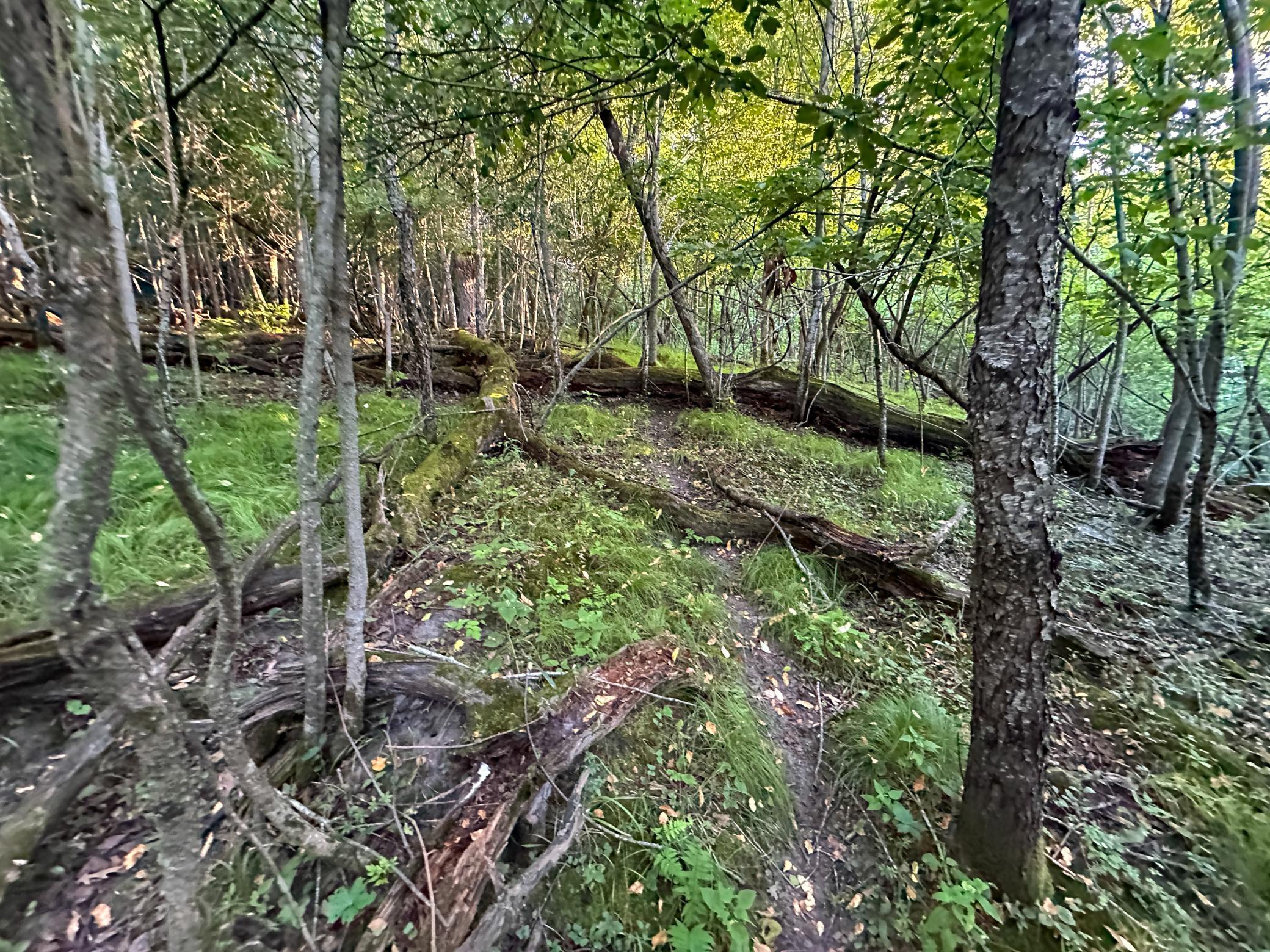 Tbd Sunset Trail Property Photo 26
