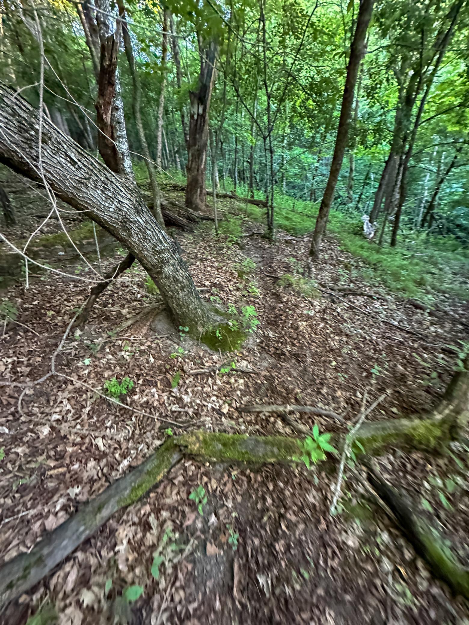 Tbd Sunset Trail Property Photo 27