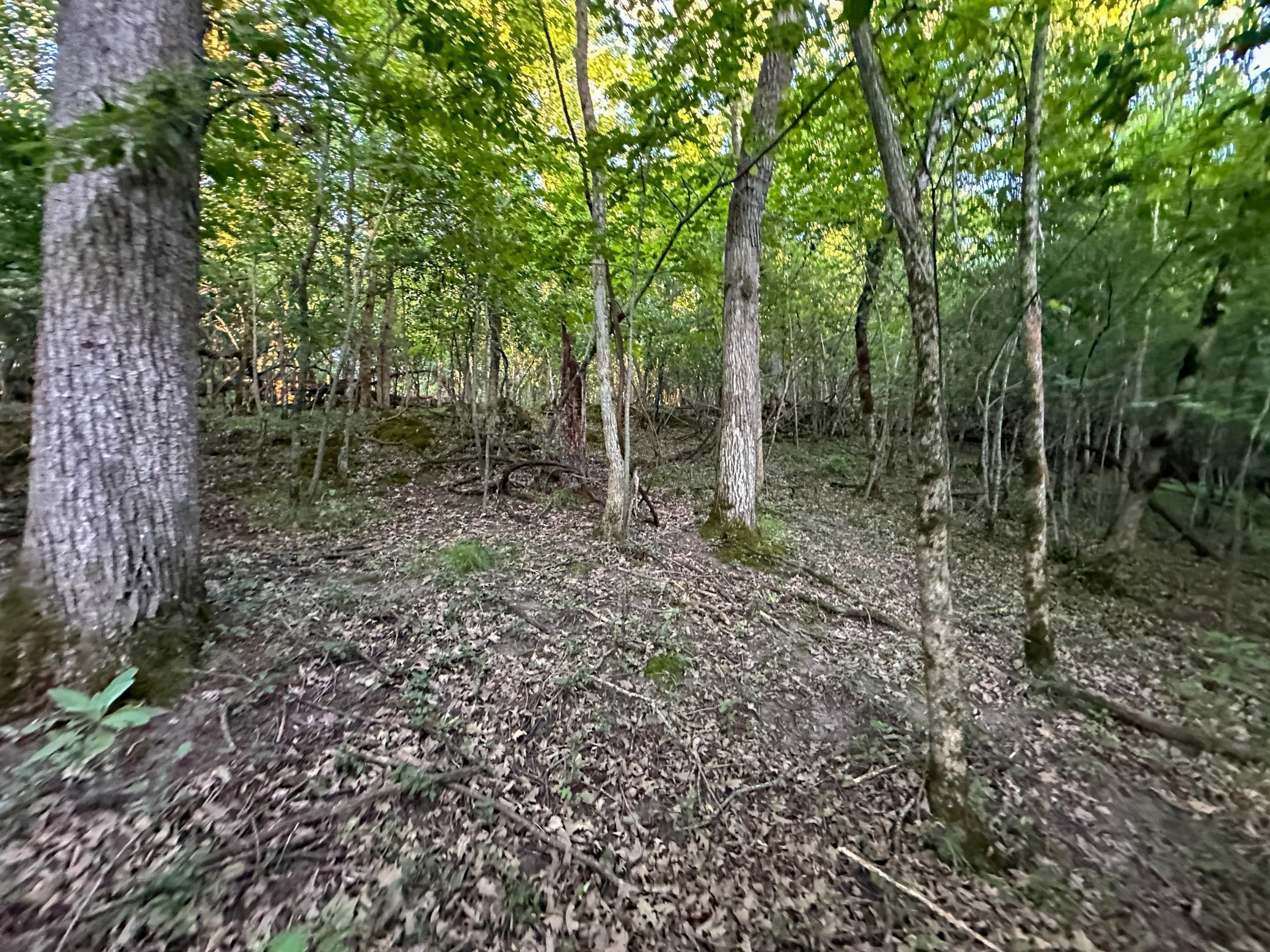 Tbd Sunset Trail Property Photo 28