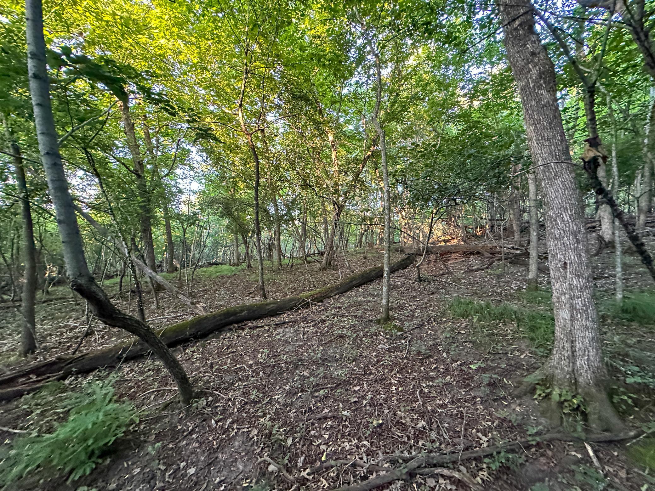 Tbd Sunset Trail Property Photo 29