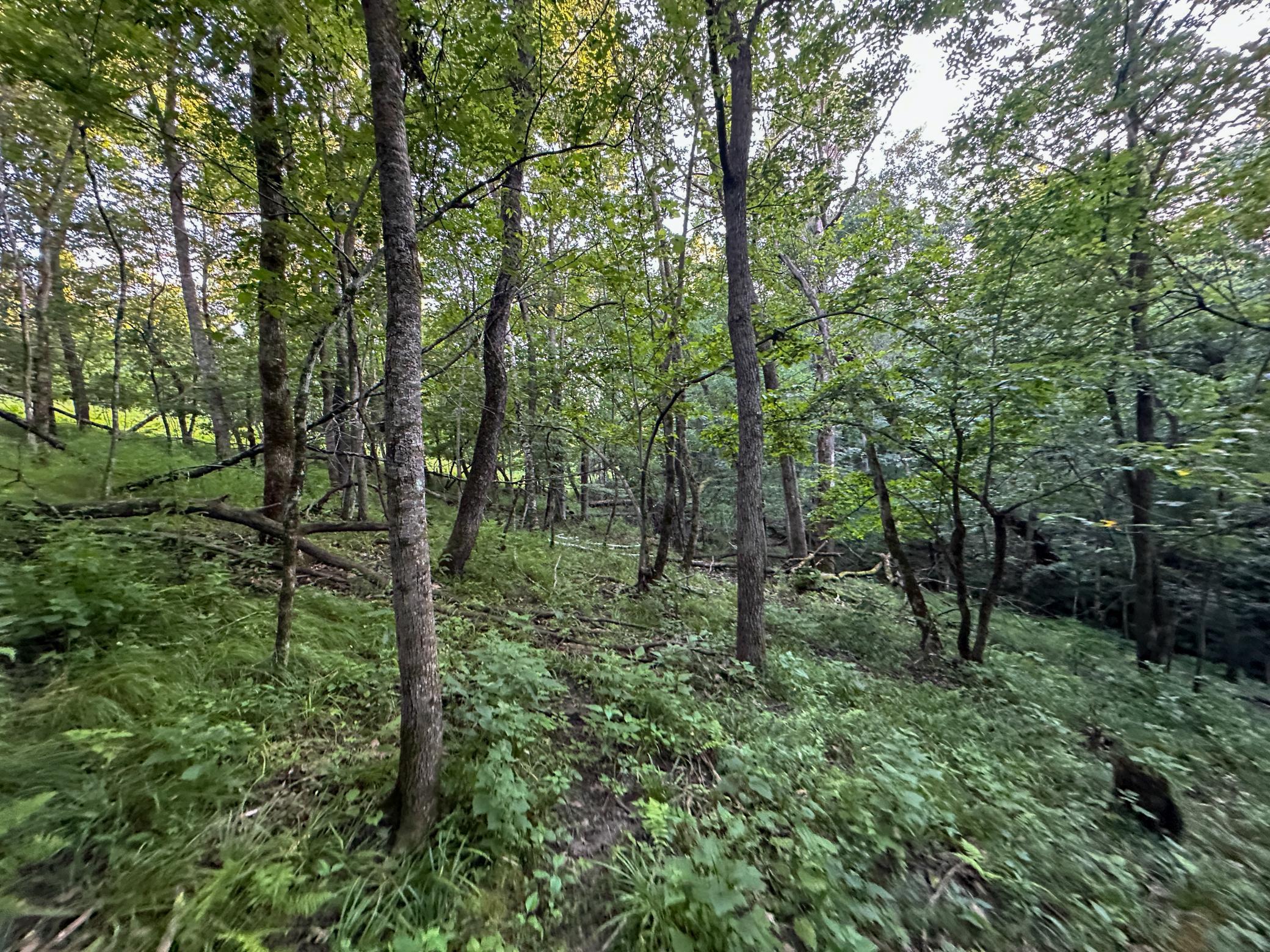 Tbd Sunset Trail Property Photo 31