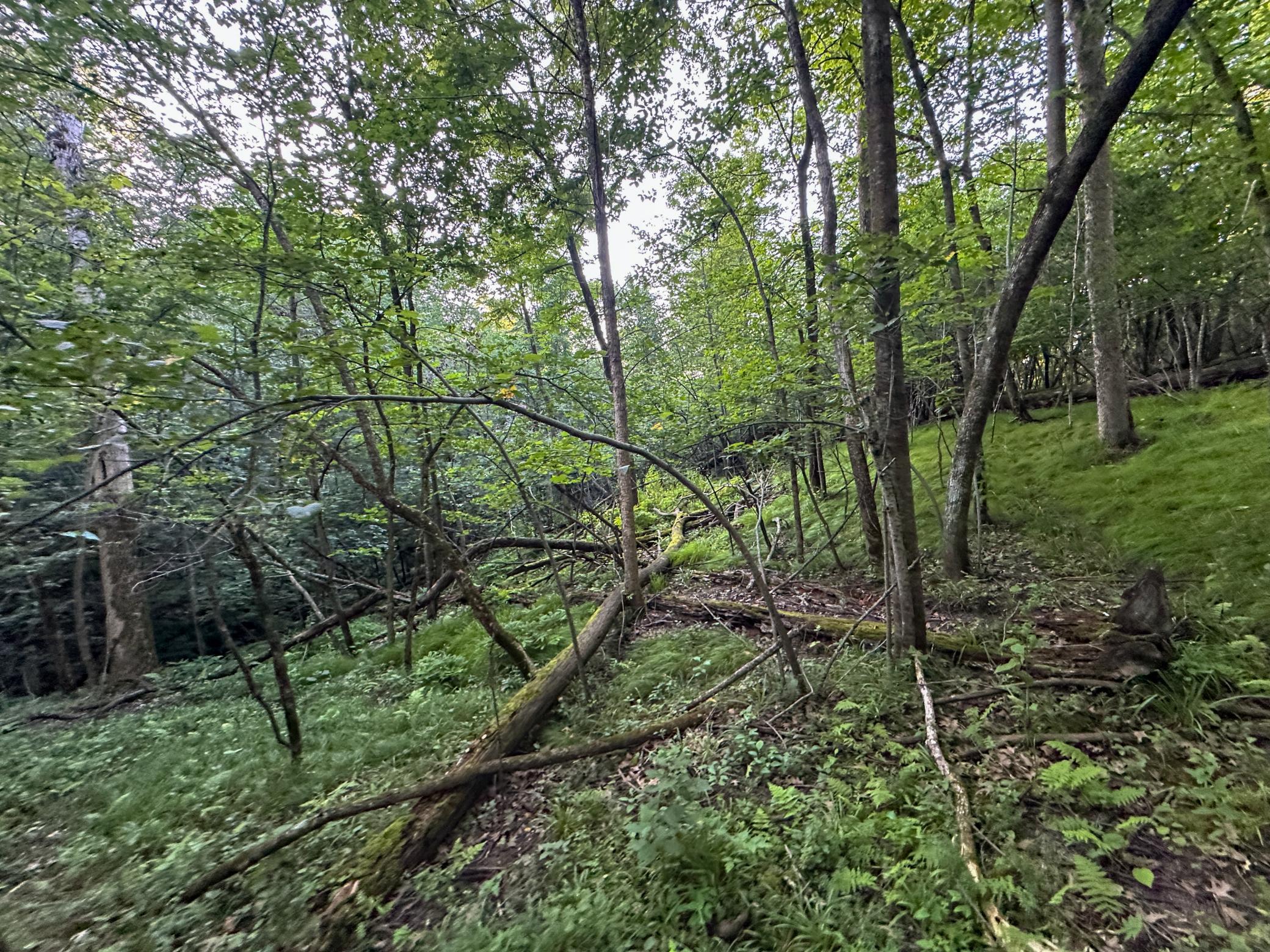 Tbd Sunset Trail Property Photo 32