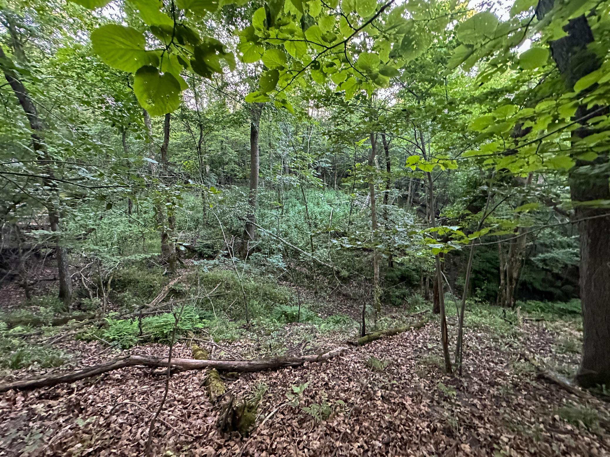 Tbd Sunset Trail Property Photo 33