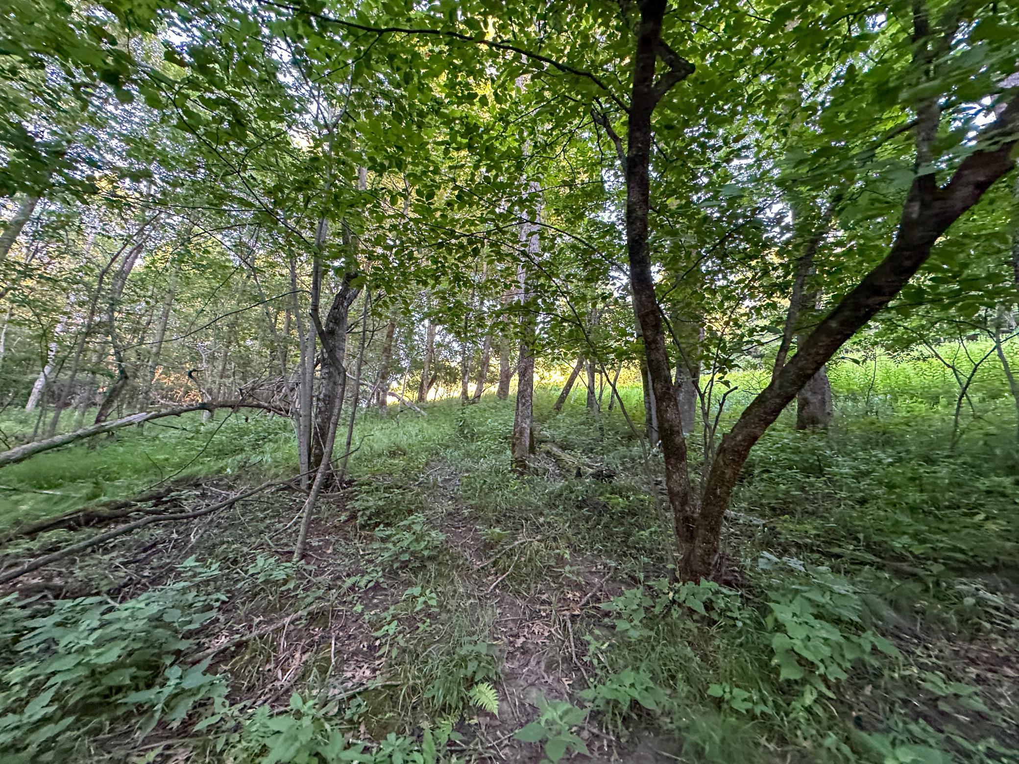 Tbd Sunset Trail Property Photo 34