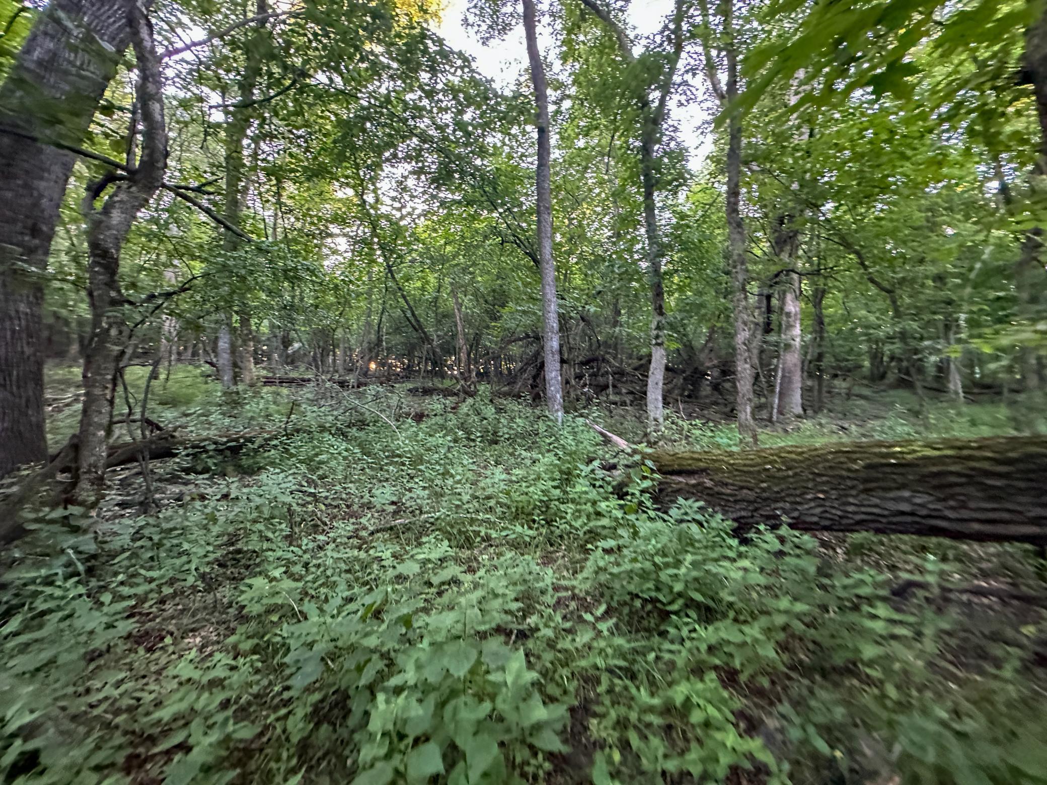Tbd Sunset Trail Property Photo 35