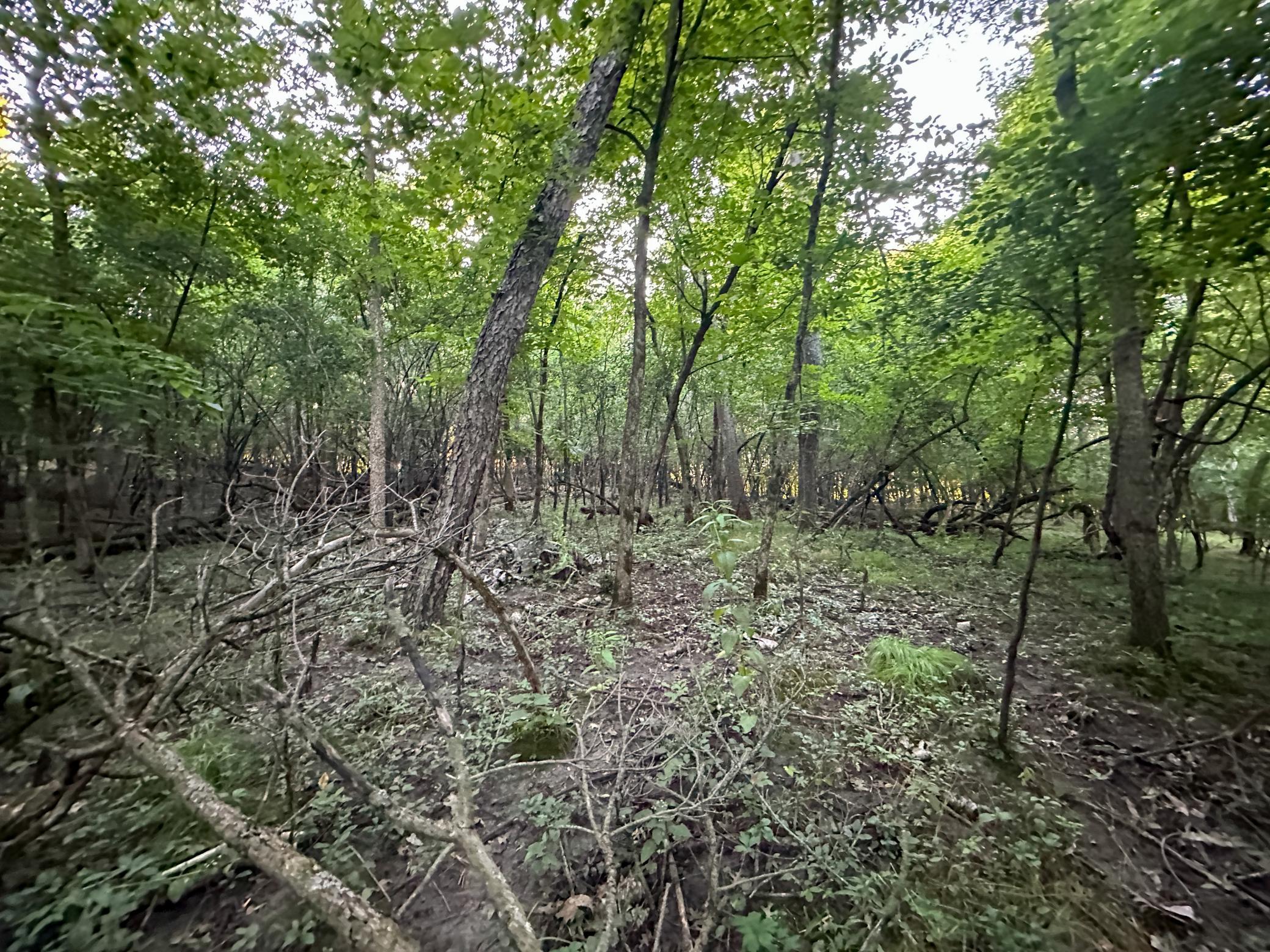 Tbd Sunset Trail Property Photo 36
