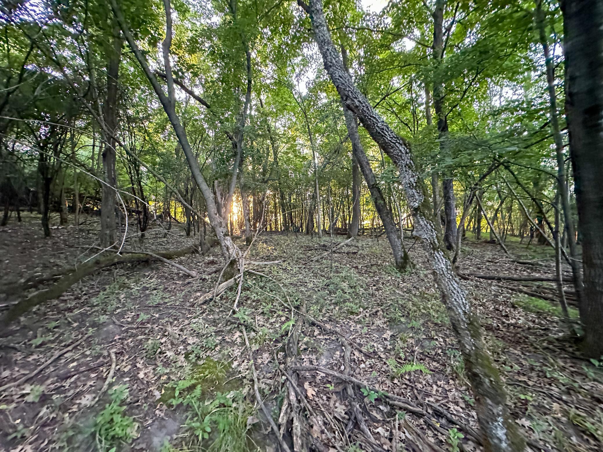 Tbd Sunset Trail Property Photo 38