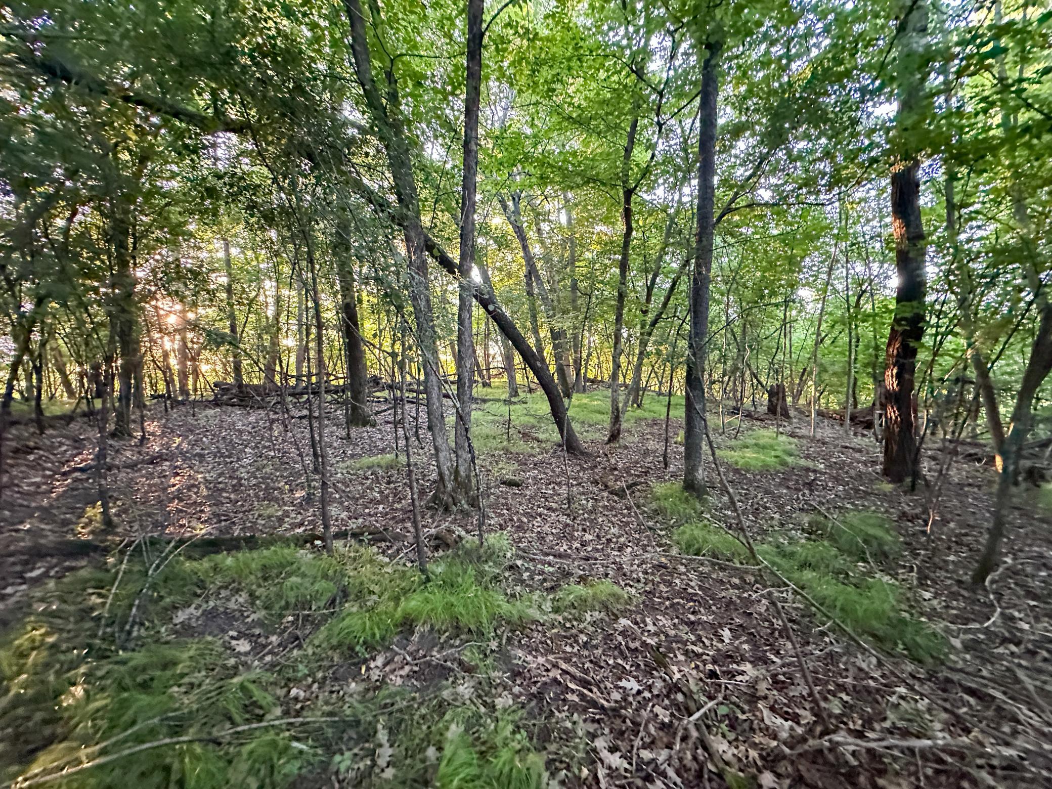 Tbd Sunset Trail Property Photo 39