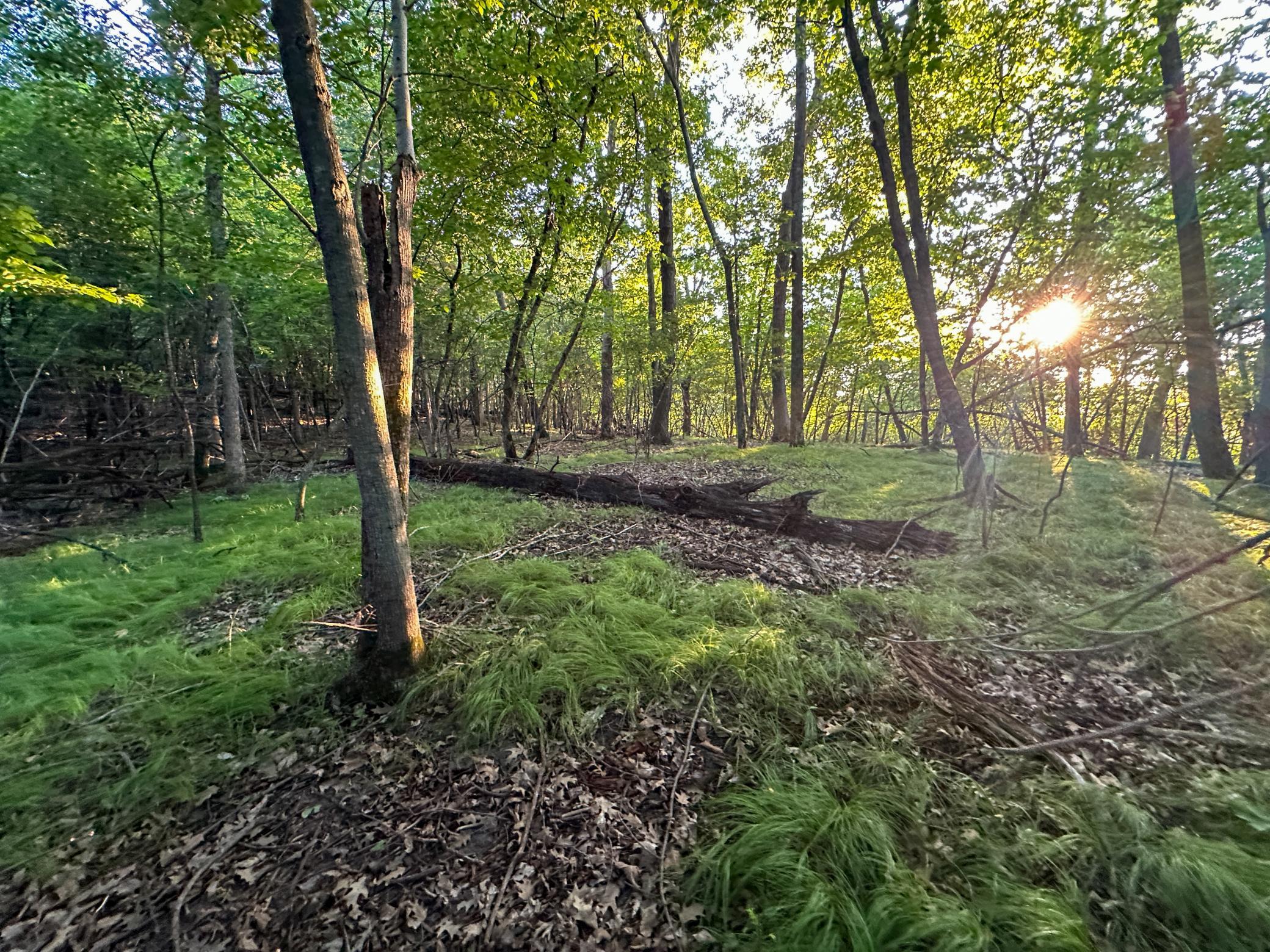 Tbd Sunset Trail Property Photo 40
