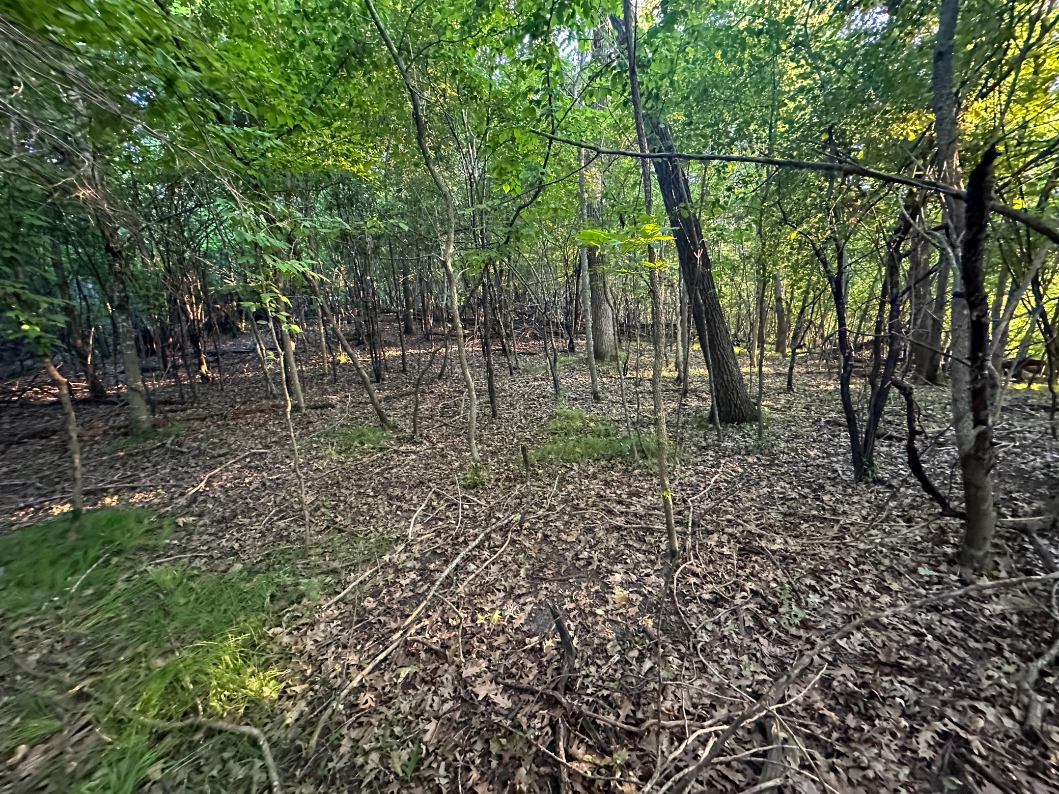 Tbd Sunset Trail Property Photo 43