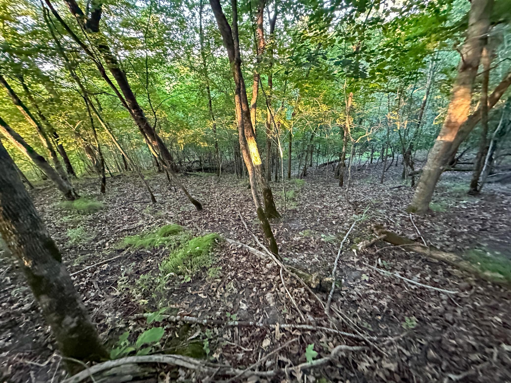 Tbd Sunset Trail Property Photo 44