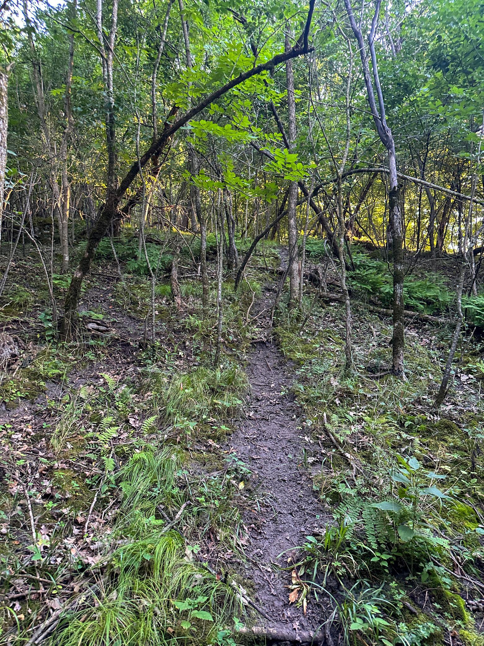 Tbd Sunset Trail Property Photo 45