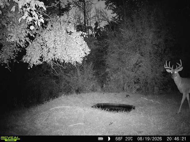 Tbd 446 Avenue Property Photo 14