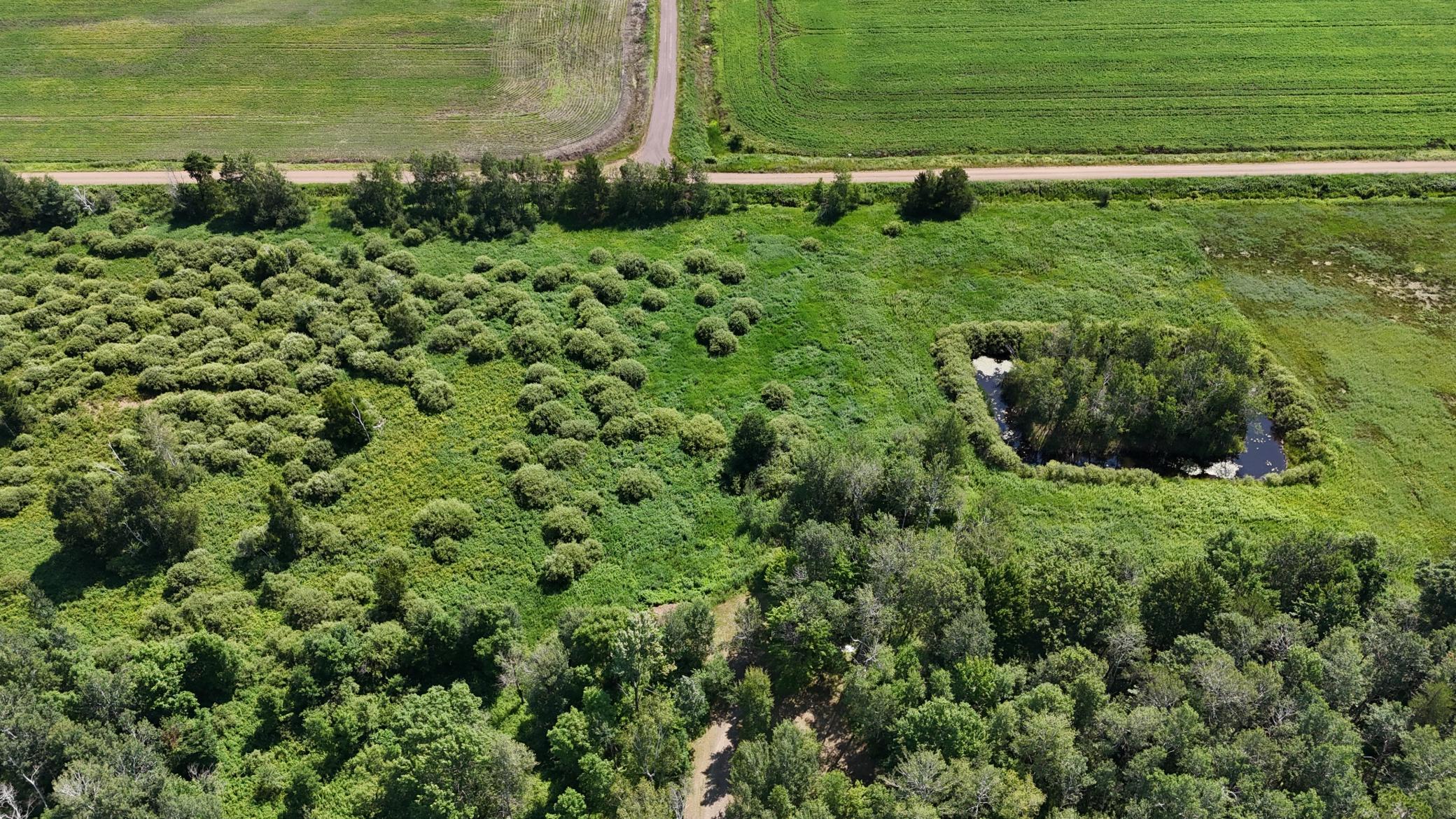 77222 County Highway 61 Property Photo 54