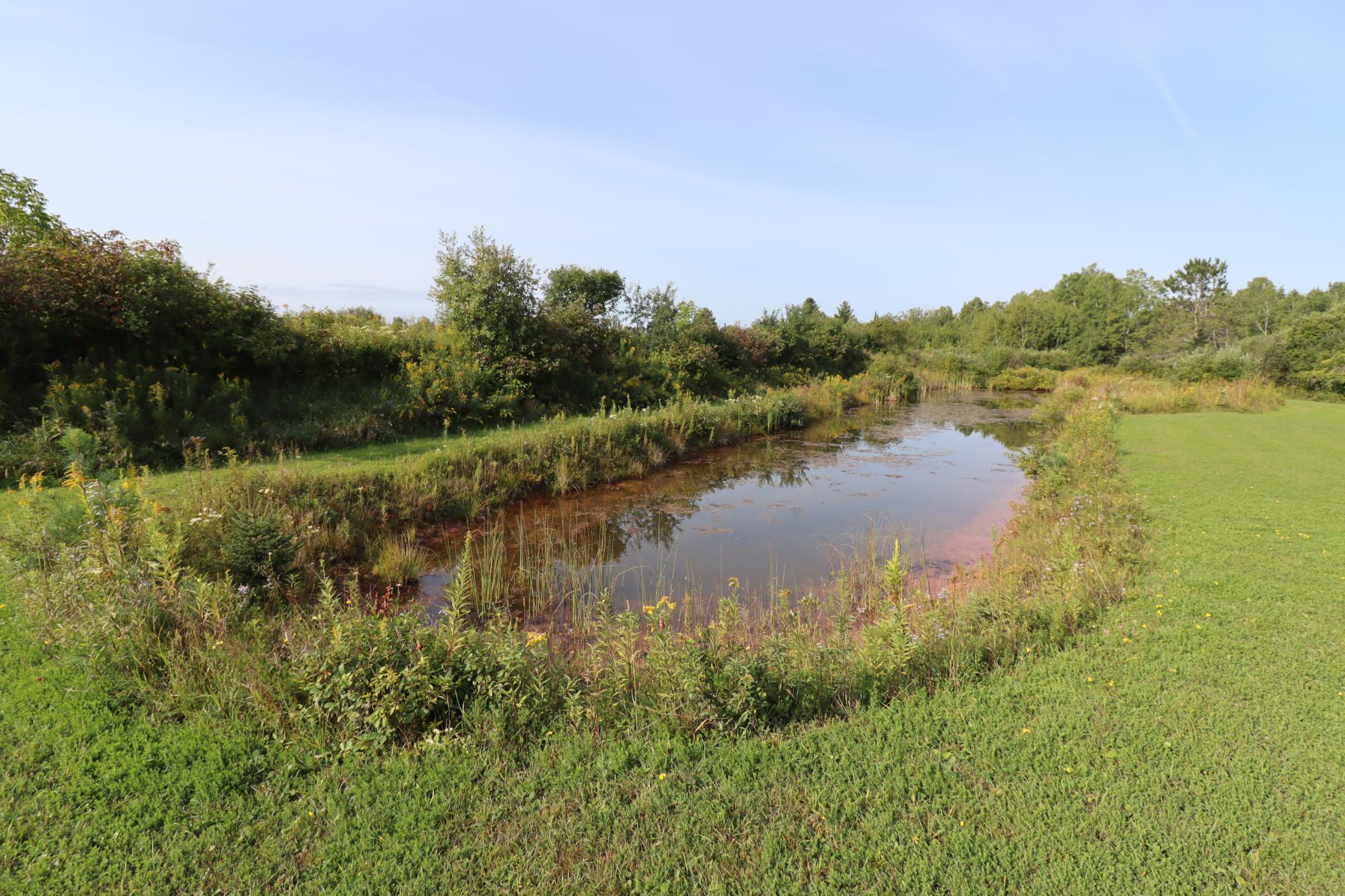 29235 Hagstrom Road Property Photo 5