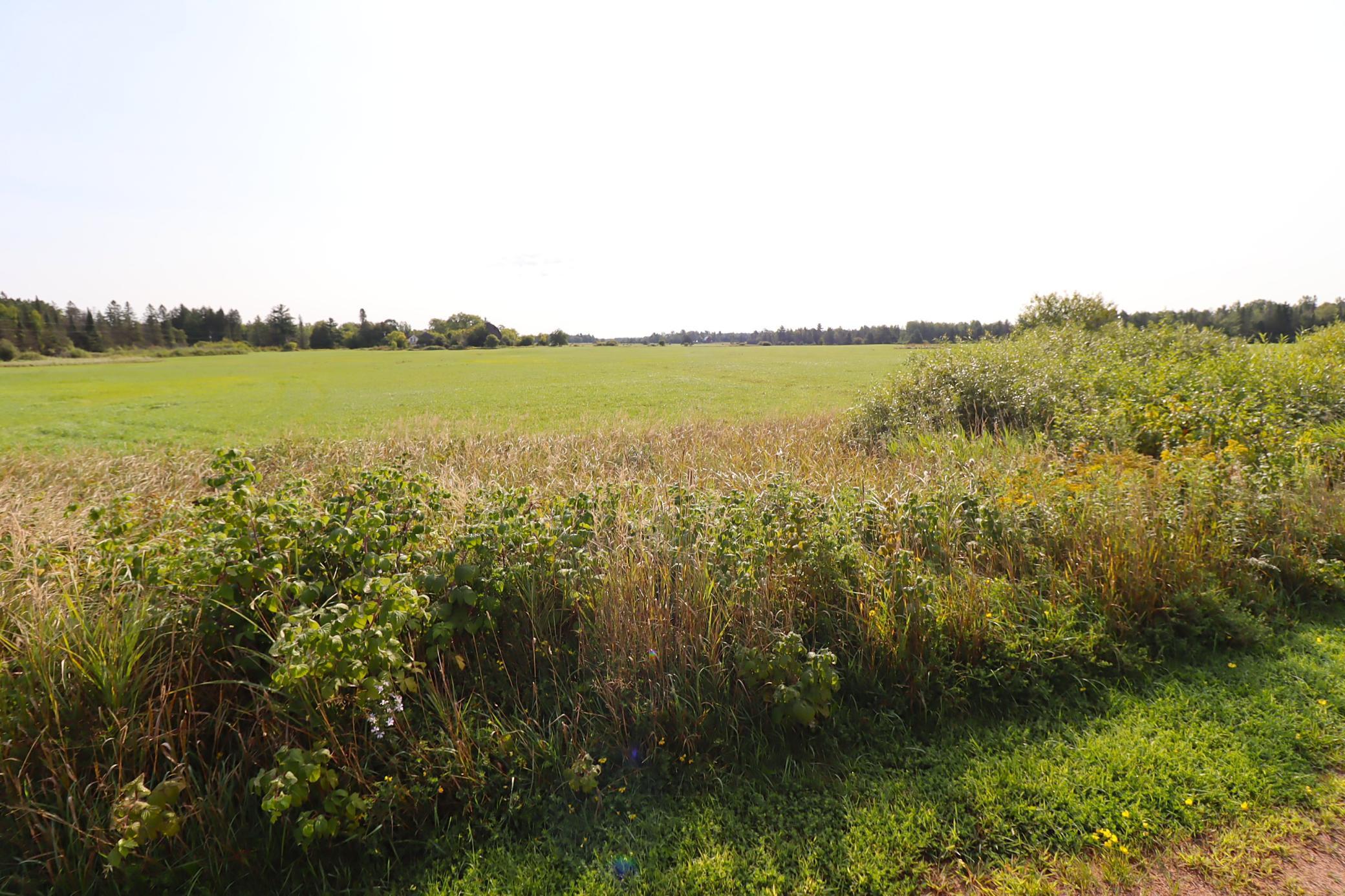 29235 Hagstrom Road Property Photo 8
