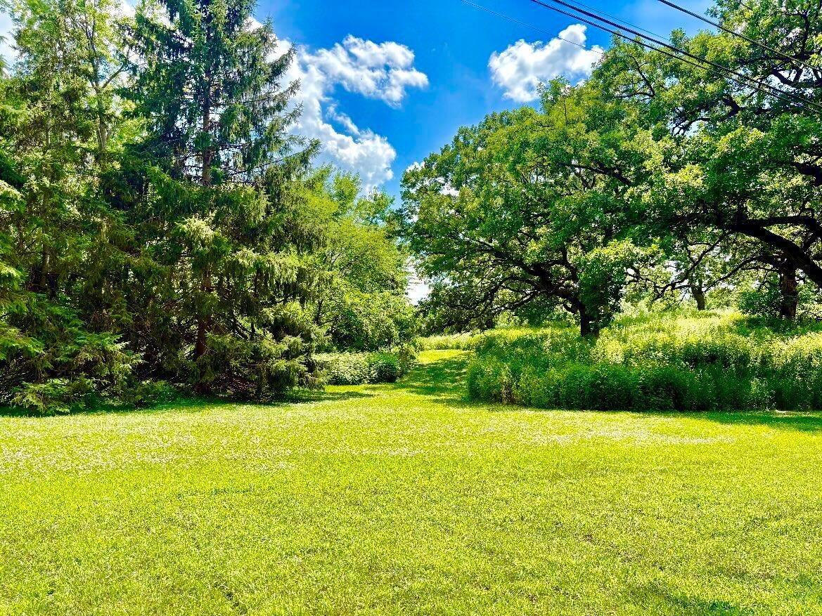 2009 W 83rd Street Property Photo 4