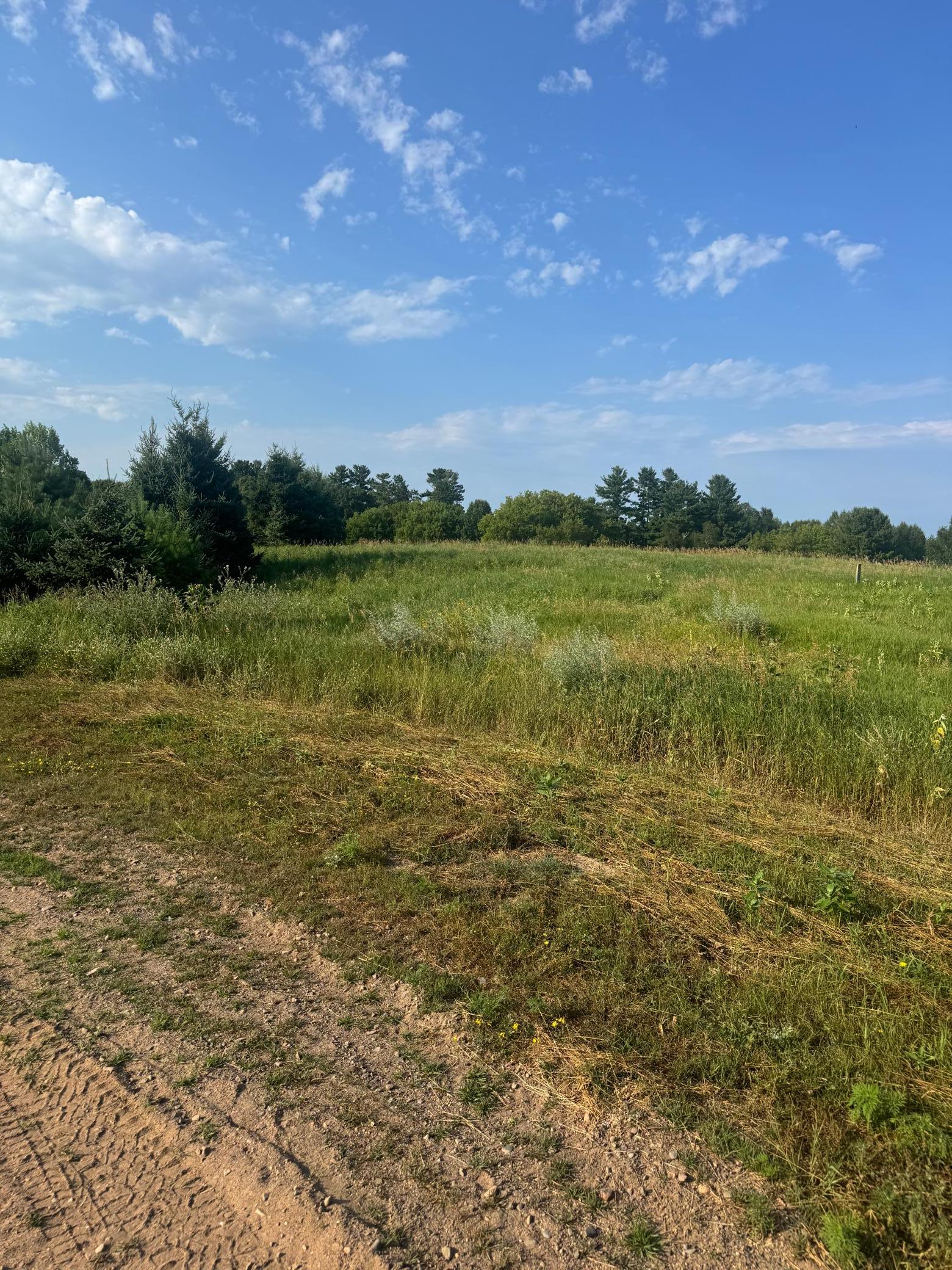 Tbd 256th Lane Property Photo 3