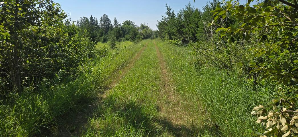 Tbd County Road 7 Property Photo 2