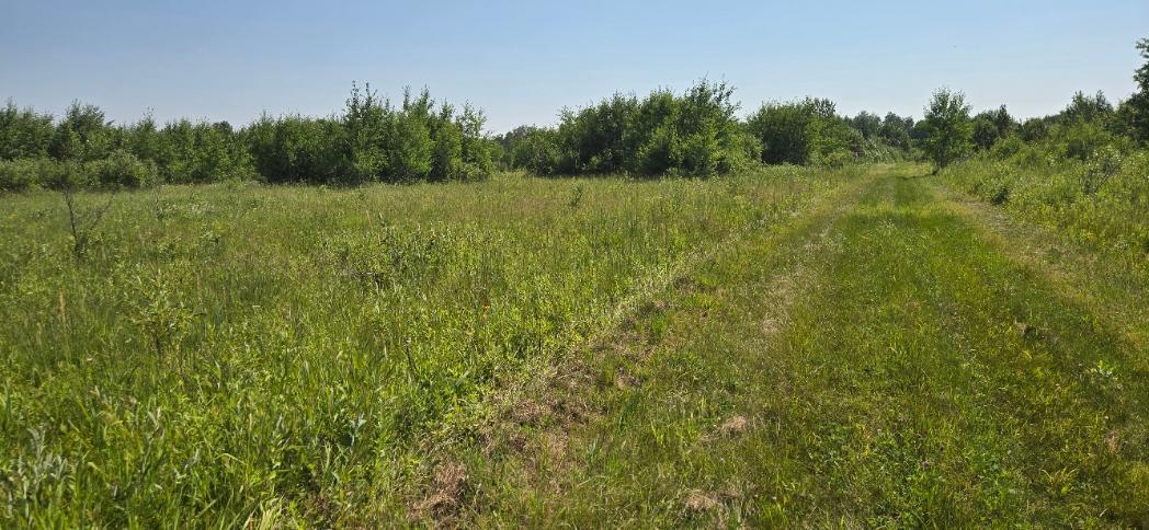 Tbd County Road 7 Property Photo 3