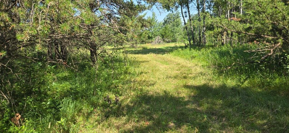 Tbd County Road 7 Property Photo 4