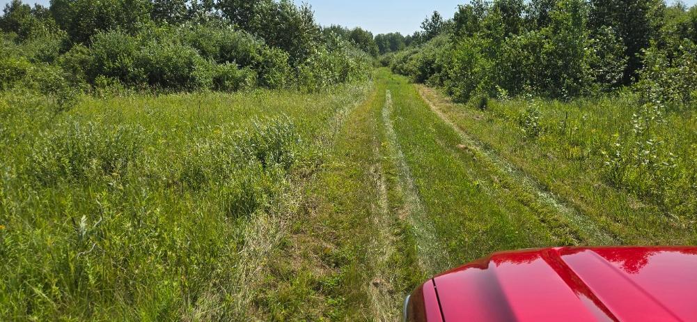 Tbd County Road 7 Property Photo 5